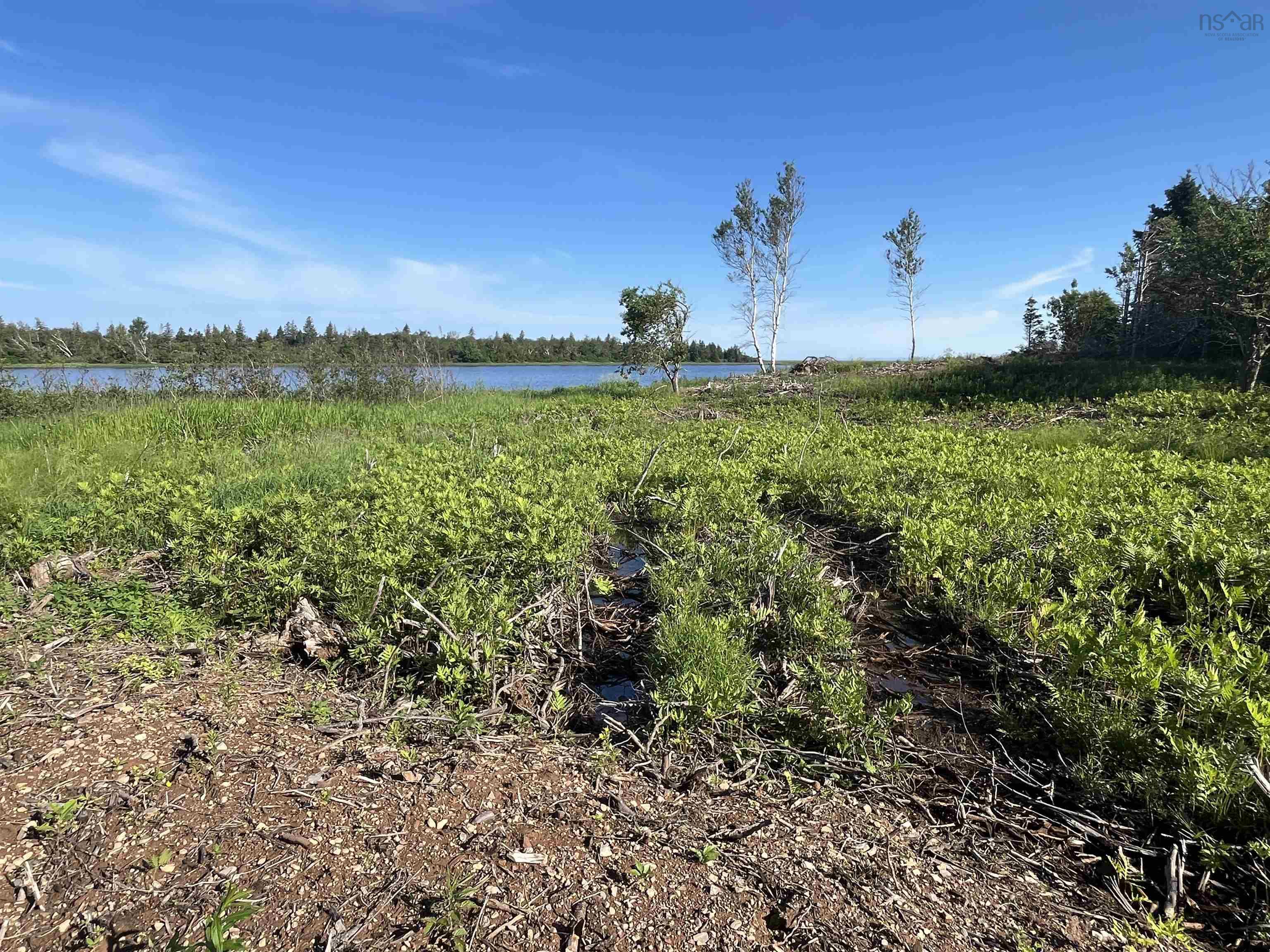 $89,900.00: Lot 11-1Z Galt Pond Road, Lower Barneys River