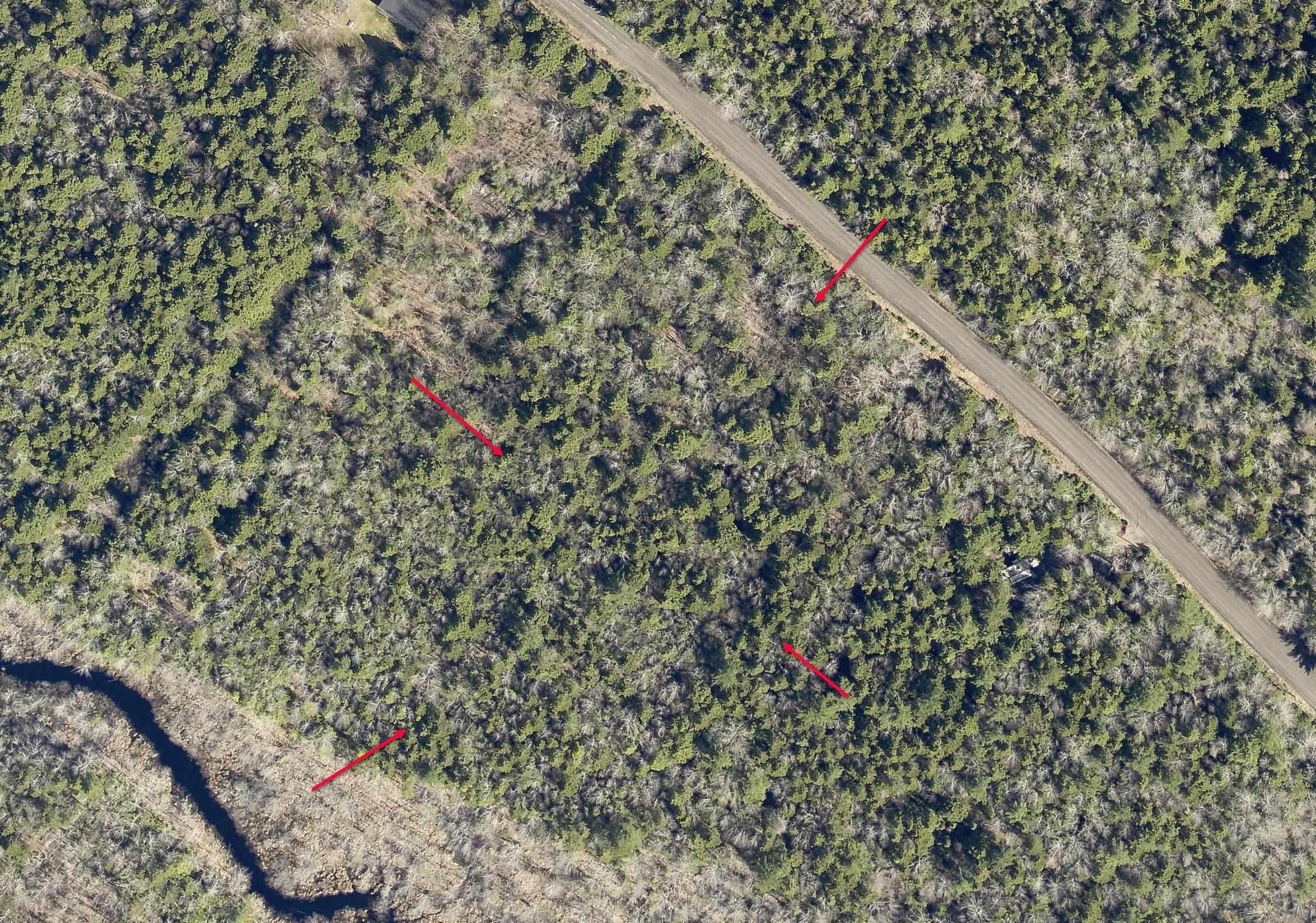 $115,000.00: Lot 64C Hirtle Road, Maitland