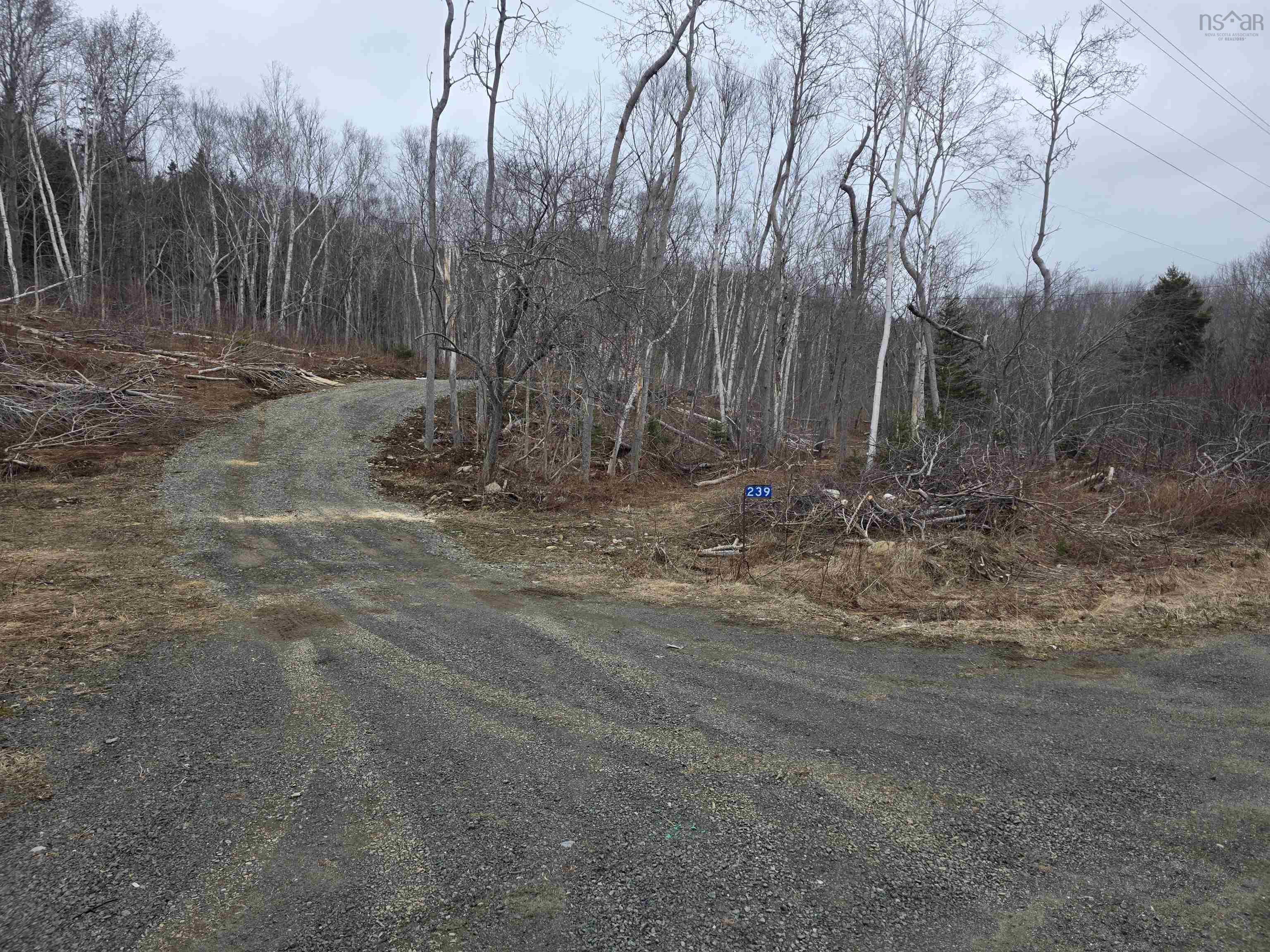 $49,900.00: Lot 2 239 Sissiboo Road, Weymouth
