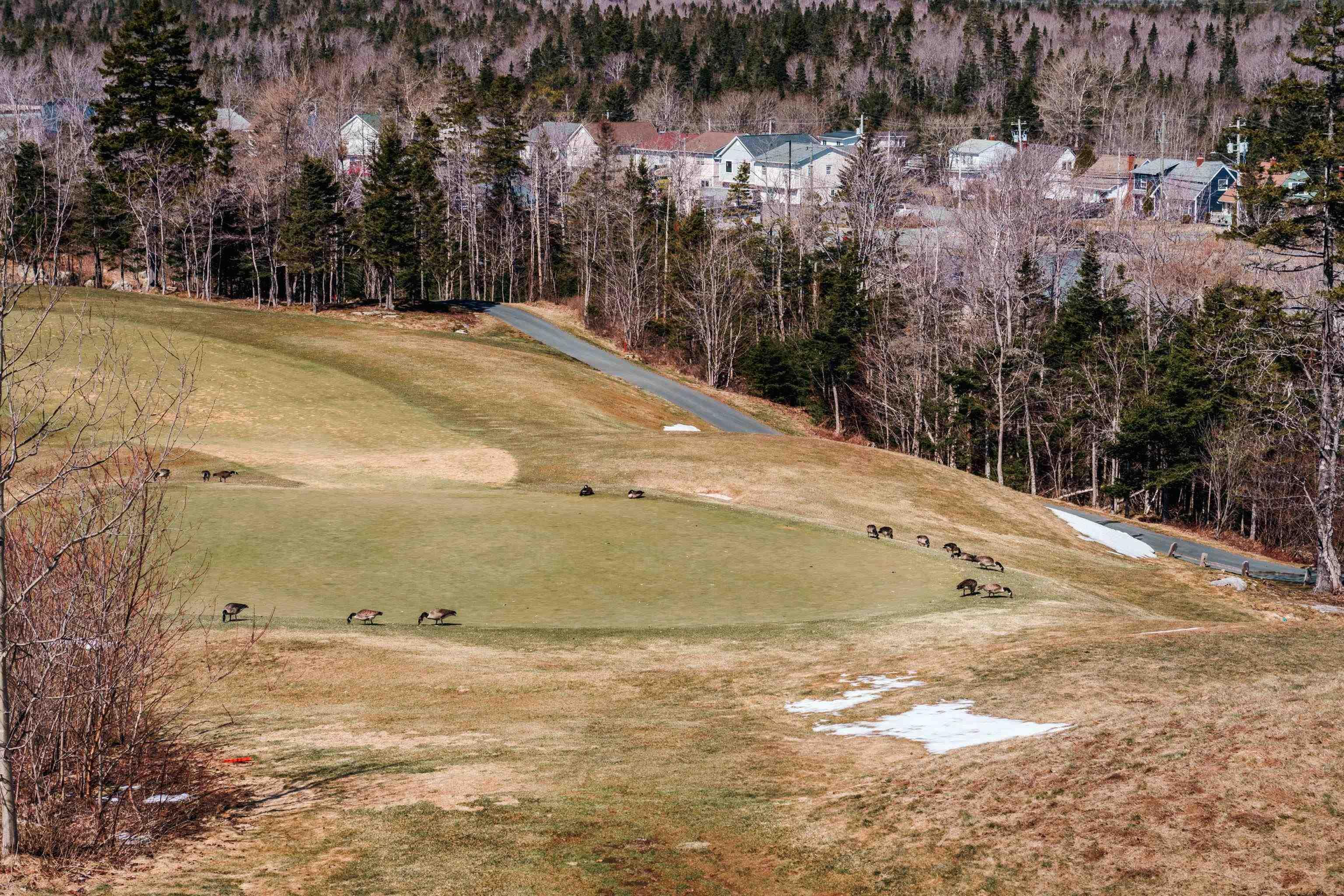 71 Maple Grove Avenue, Timberlea, NS (MLS 202605899)