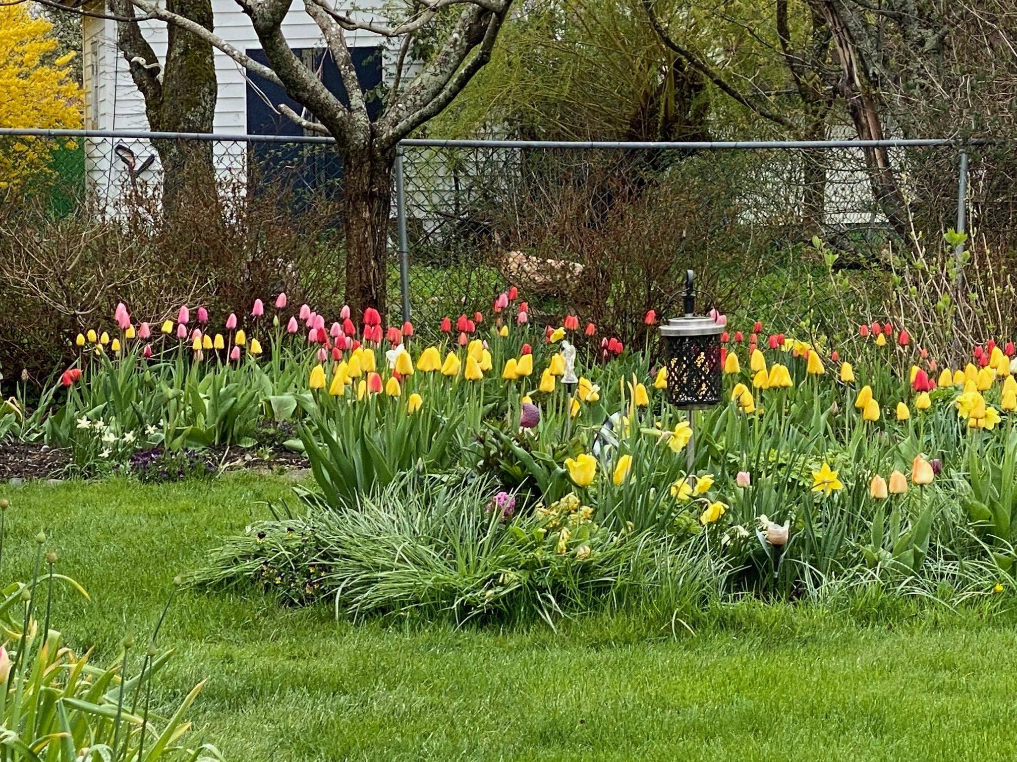 1 Juniper Crescent, Leiblin Park, NS (MLS 202605921)