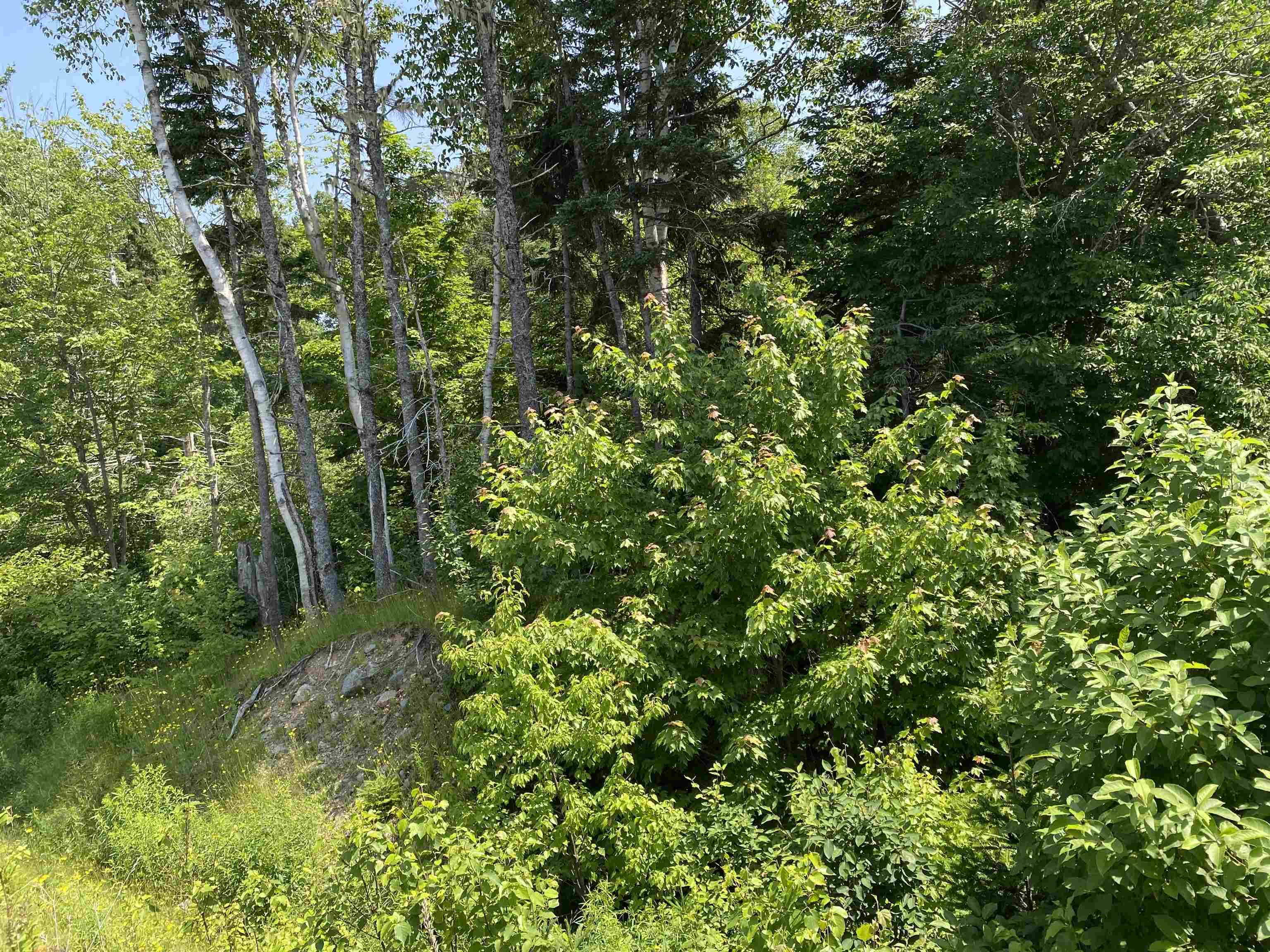 $85,000.00: 0 Cabot Trail, Tarbot