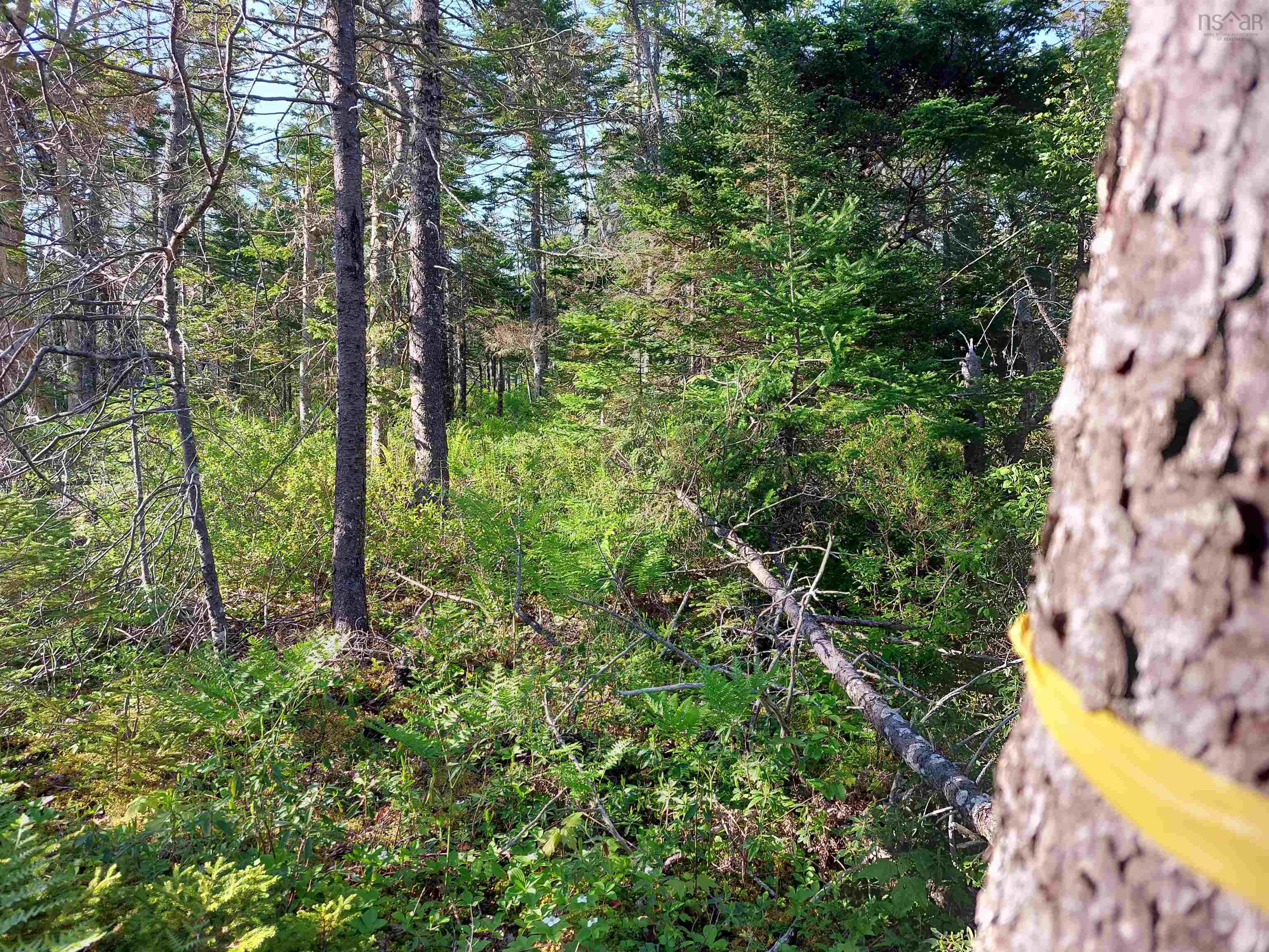 $39,000.00: Lot B1 Katja Rose Dr, Hay Cove