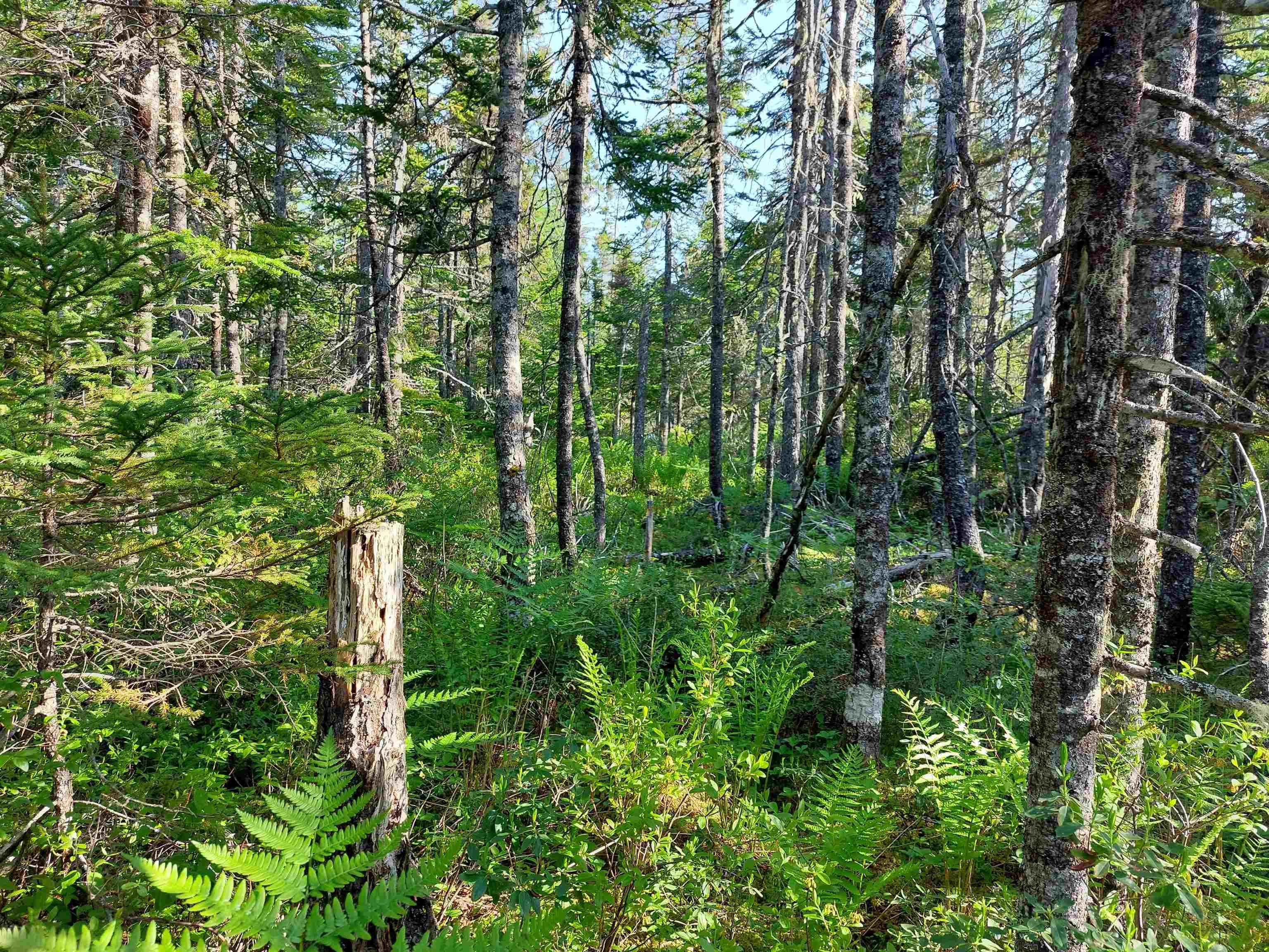 $39,000.00: Lot B1 Katja Rose Dr, Hay Cove