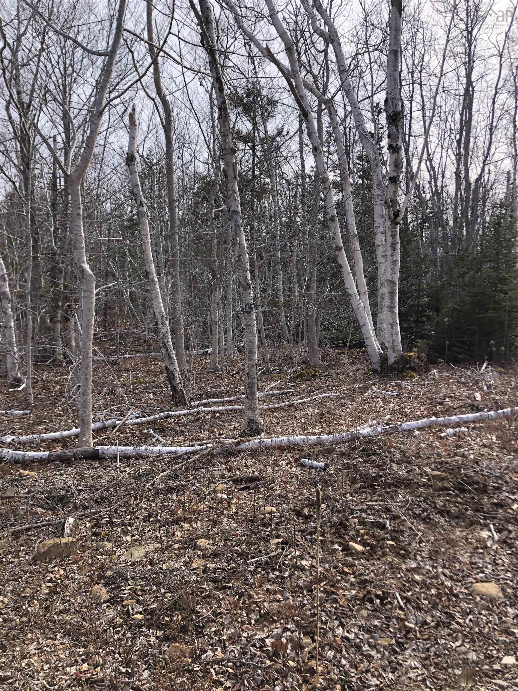 $89,000.00: Lot Lighthouse Road, Bay View