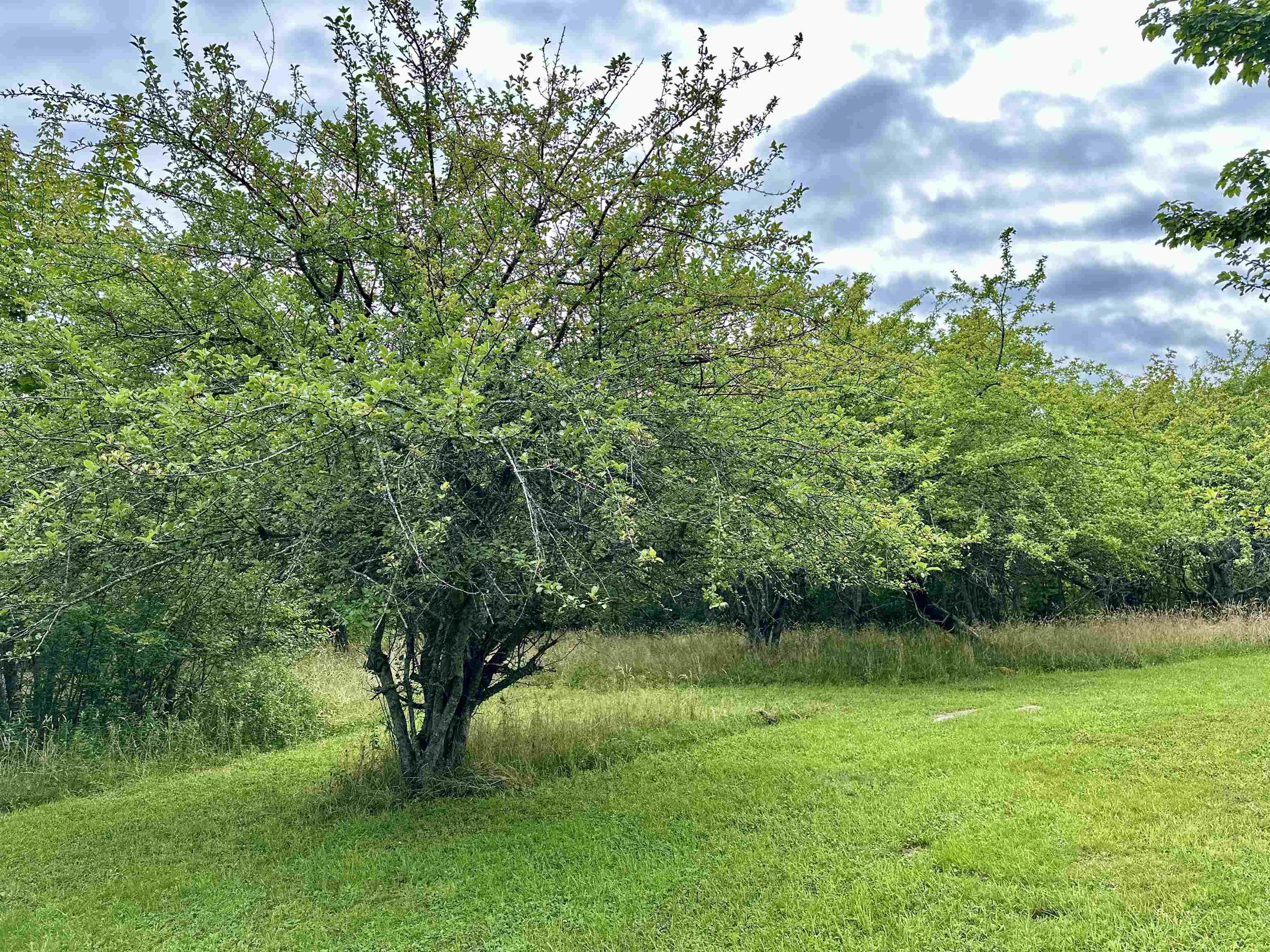 $295,000.00: 385 Brighton Road, Lockeport