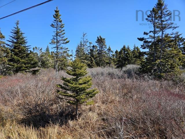 $60,000.00: Highway 3, Charlesville