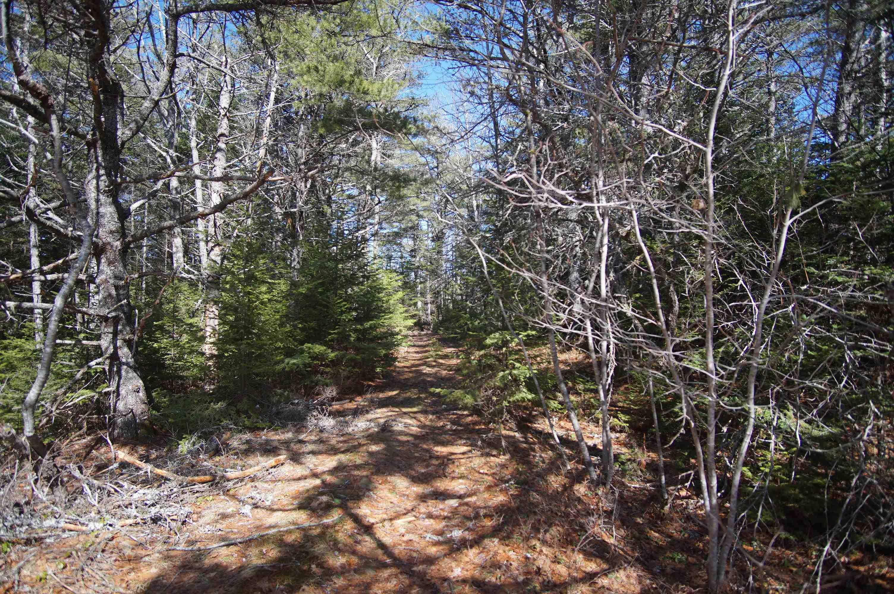 $99,000.00: 398 East Sable Road, Sable River