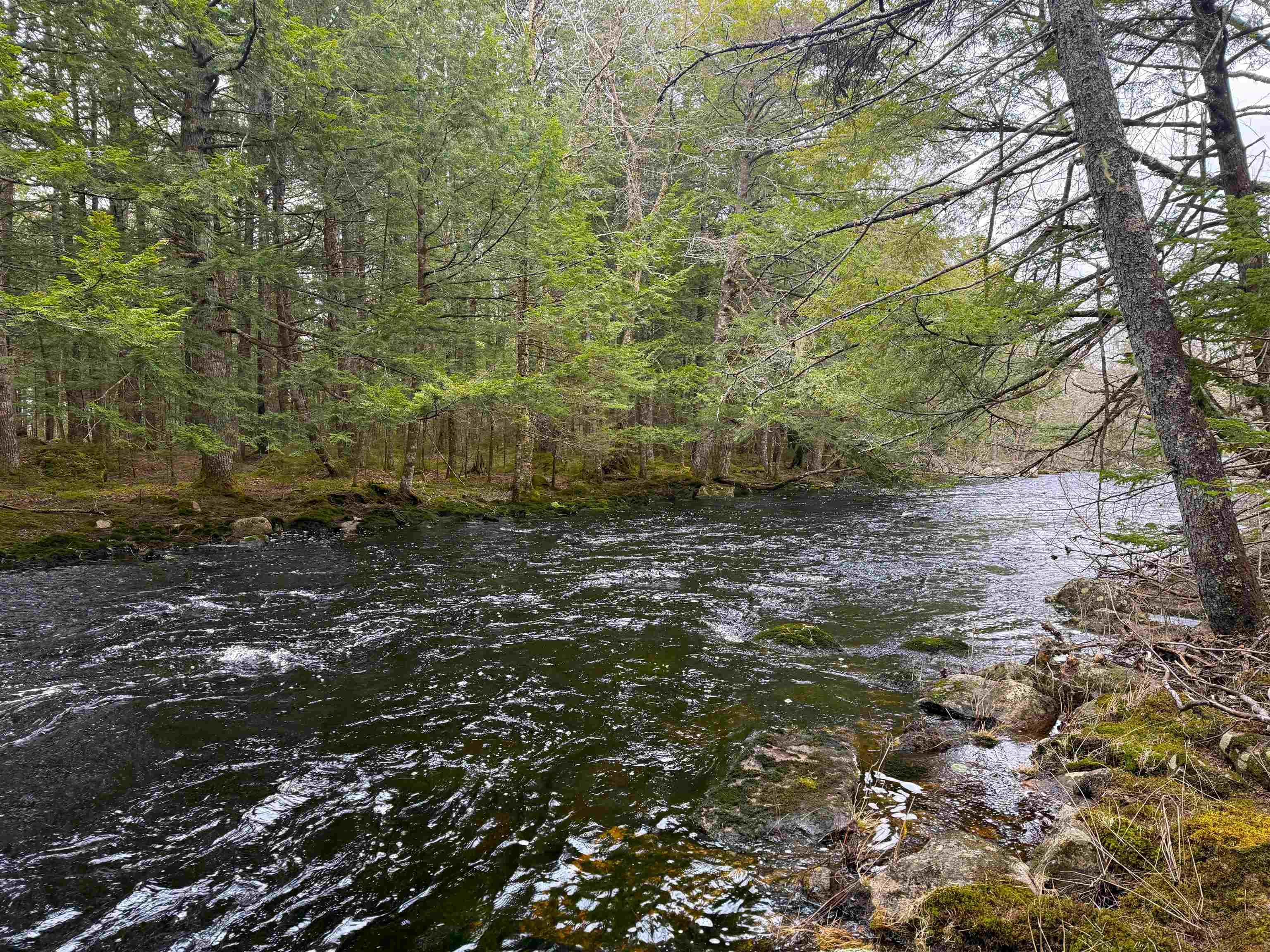 $54,900.00: Lot Otter Lane, East Dalhousie
