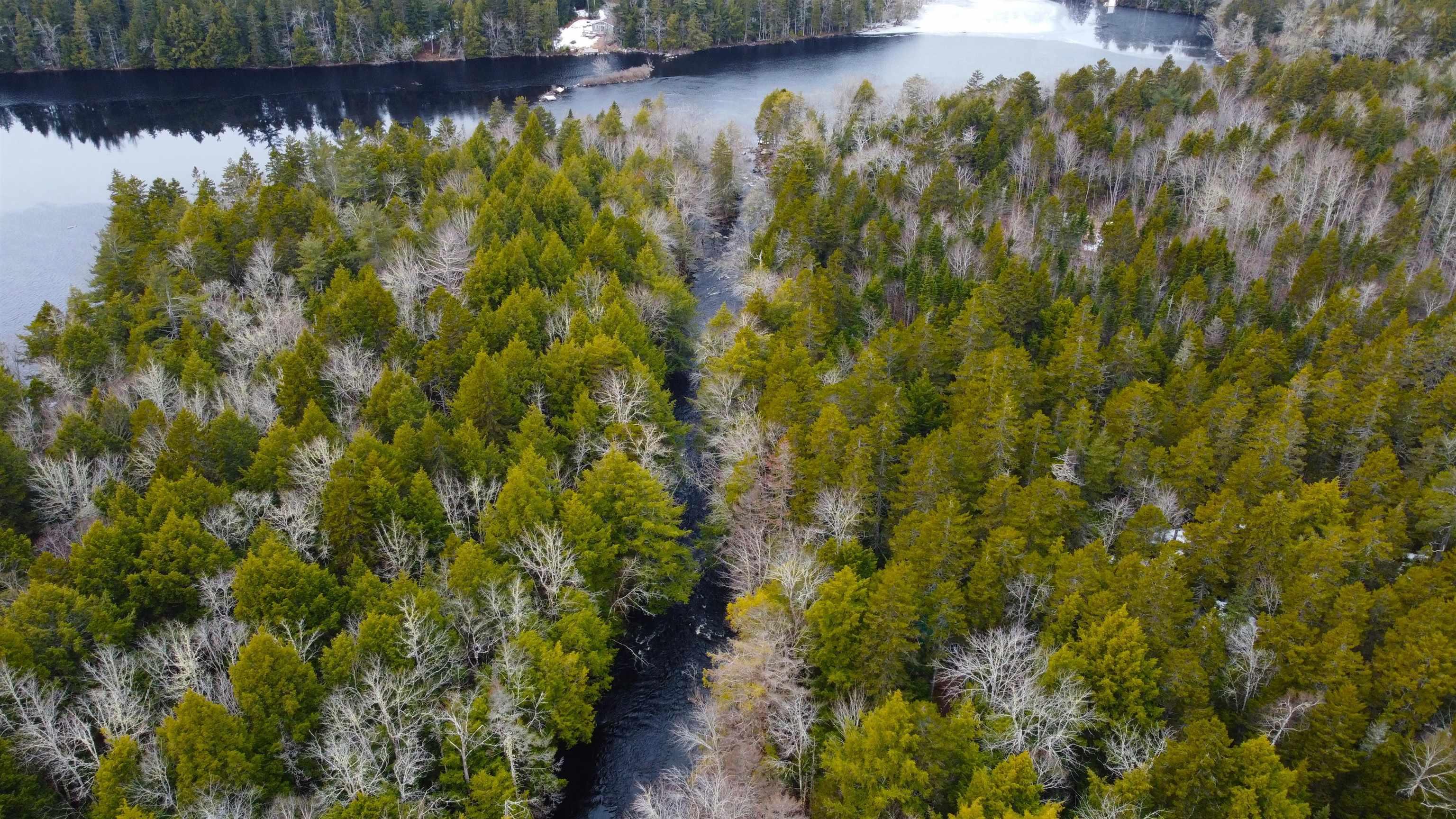 $54,900.00: Lot Otter Lane, East Dalhousie
