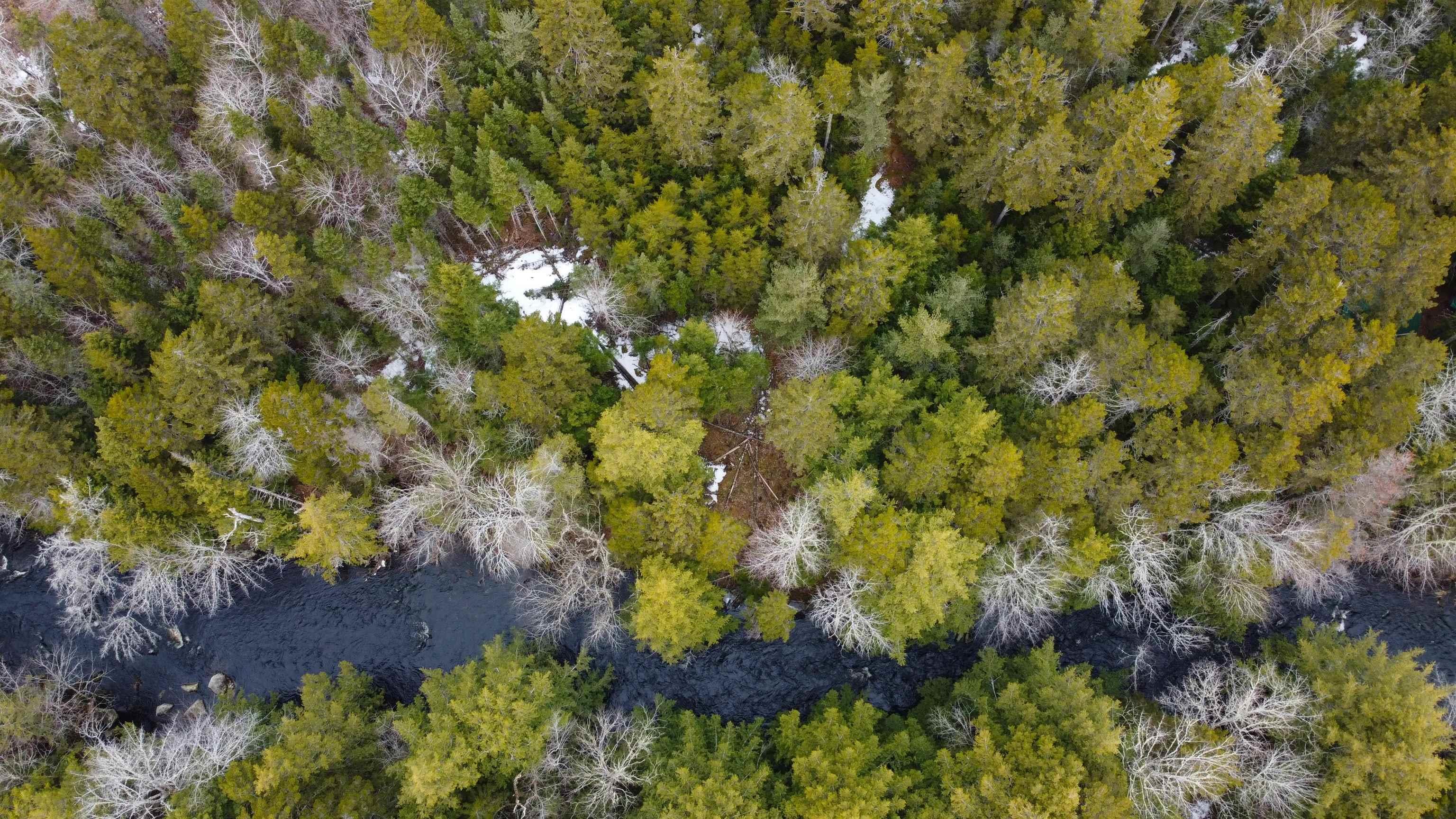 $54,900.00: Lot Otter Lane, East Dalhousie