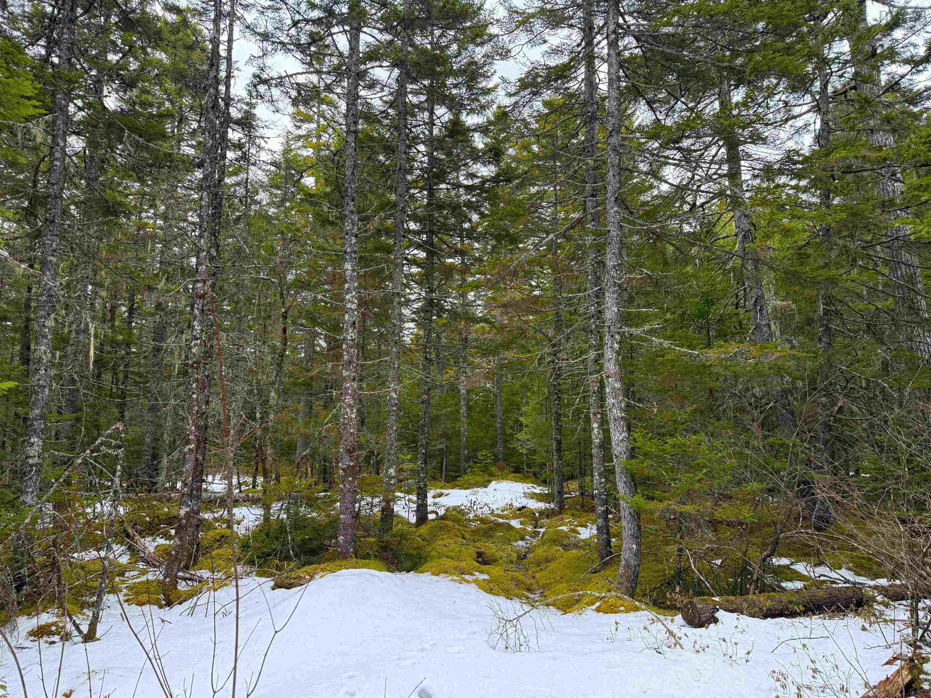 $54,900.00: Lot Otter Lane, East Dalhousie
