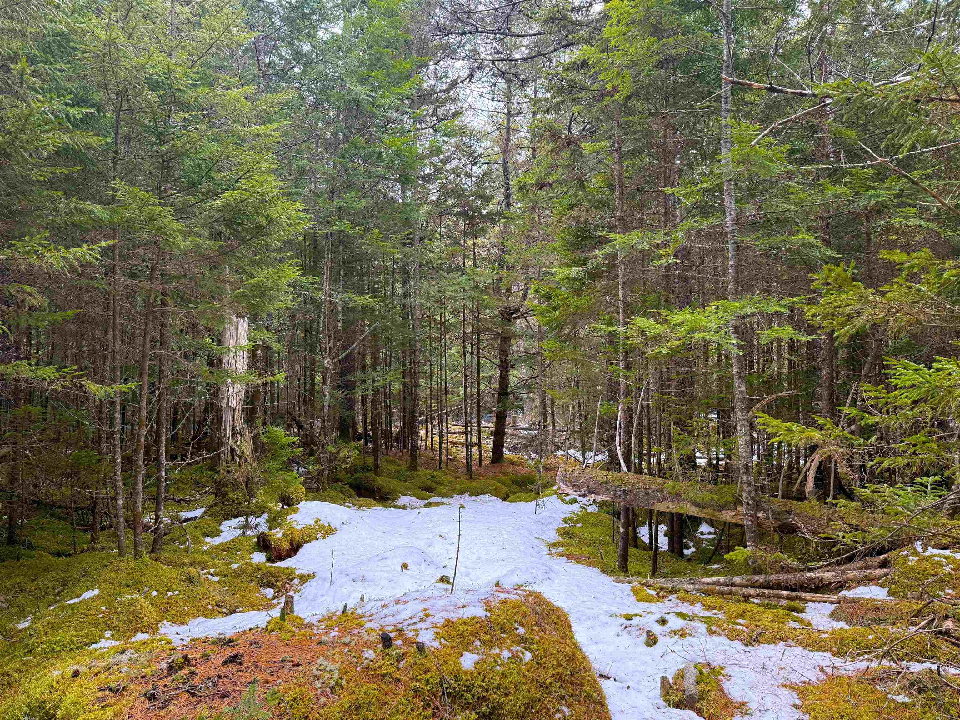 $54,900.00: Lot Otter Lane, East Dalhousie