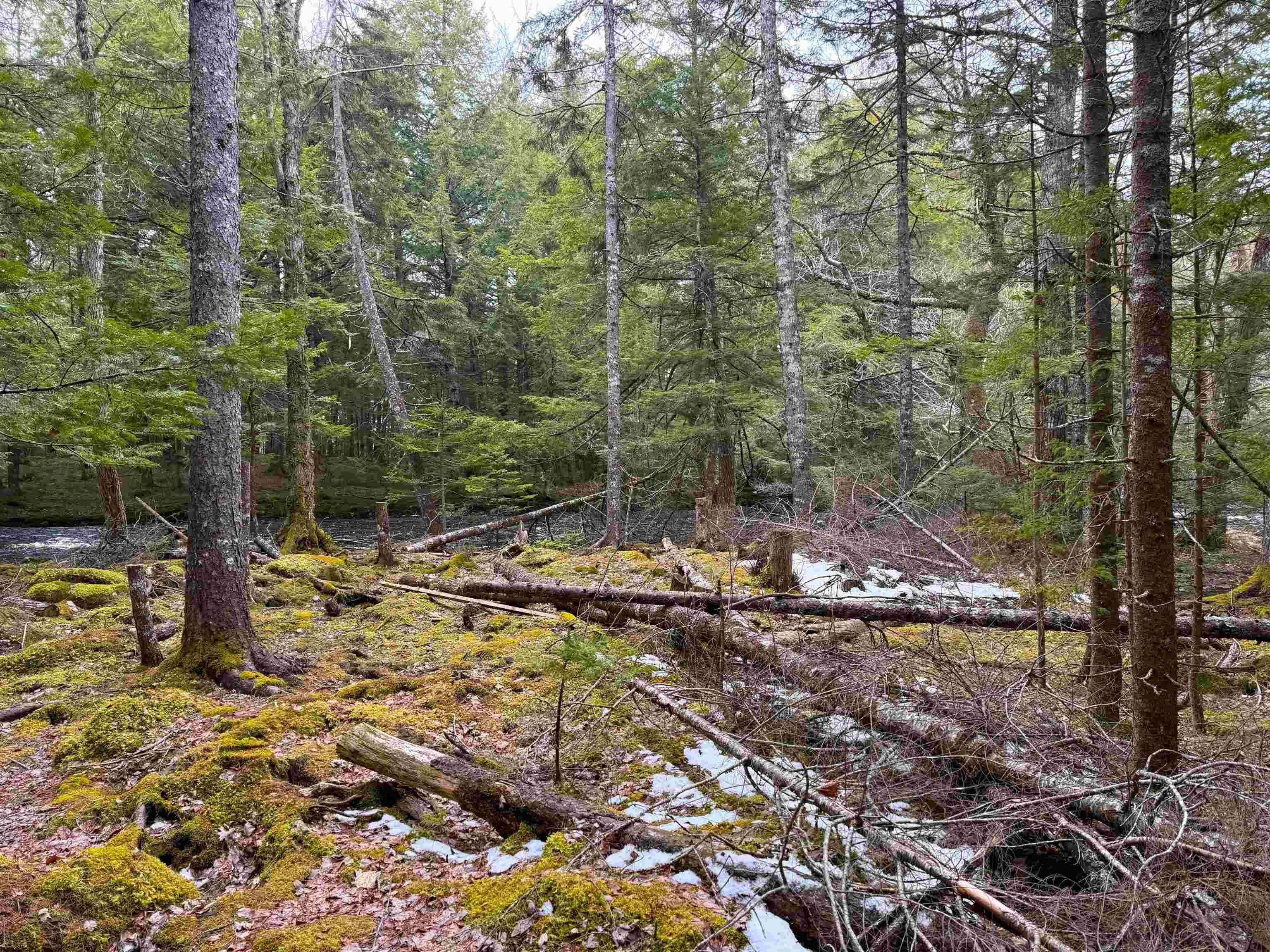 $54,900.00: Lot Otter Lane, East Dalhousie