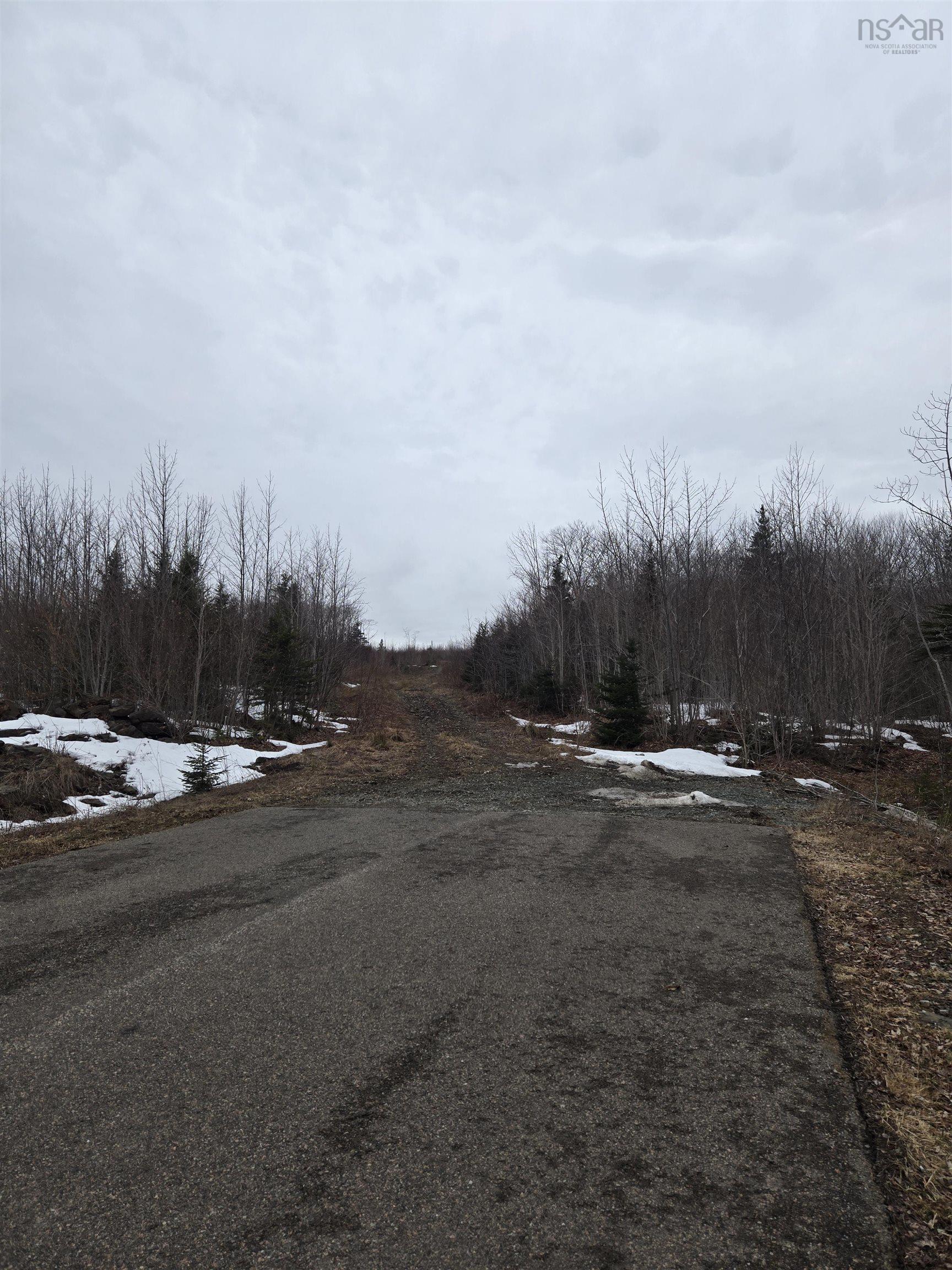 Old Mulgrave Road, Mulgrave, NS (MLS 202606098)