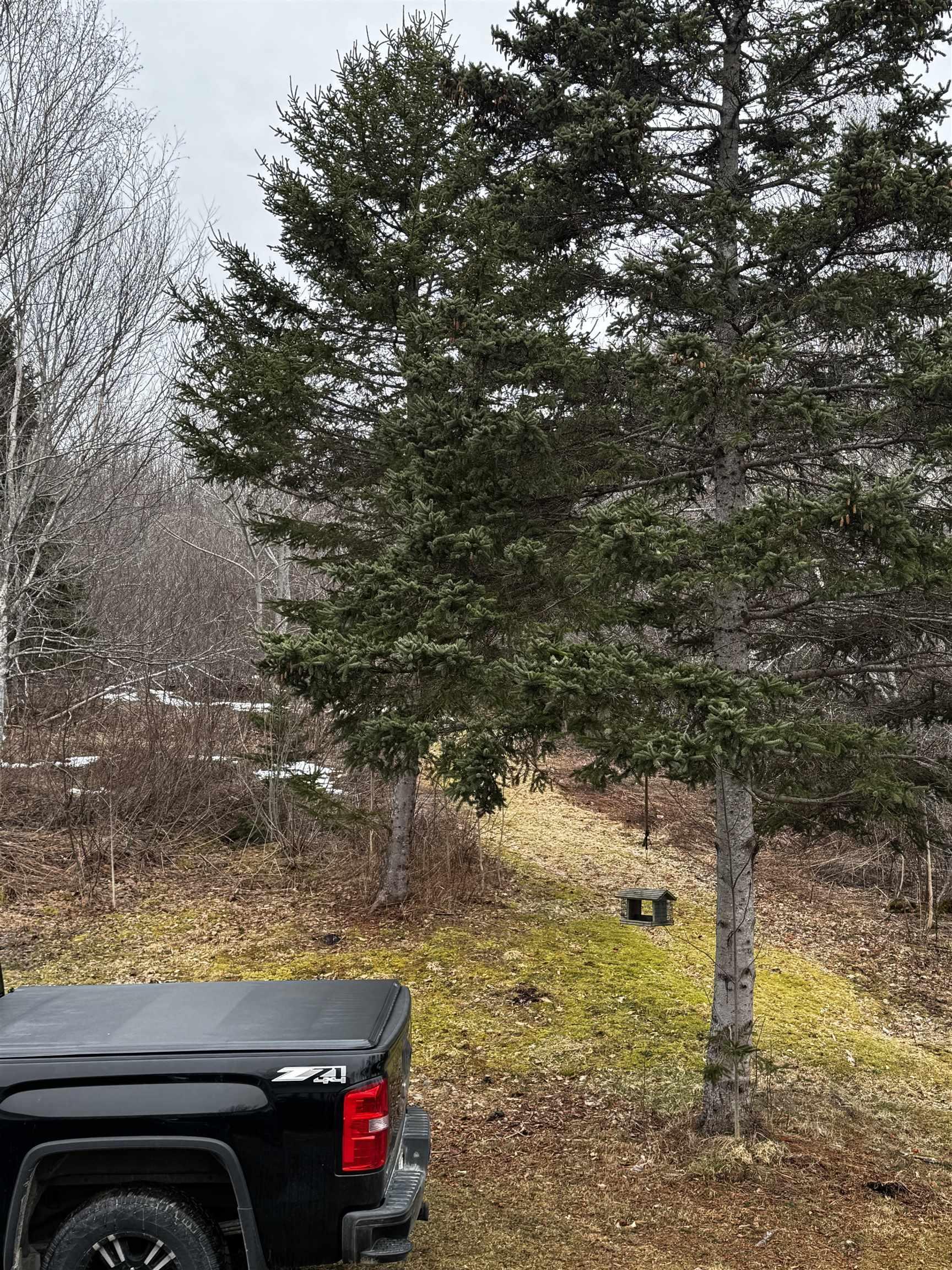 $240,000.00: 4136 Antigonish Guysborough Road, Lesterdale