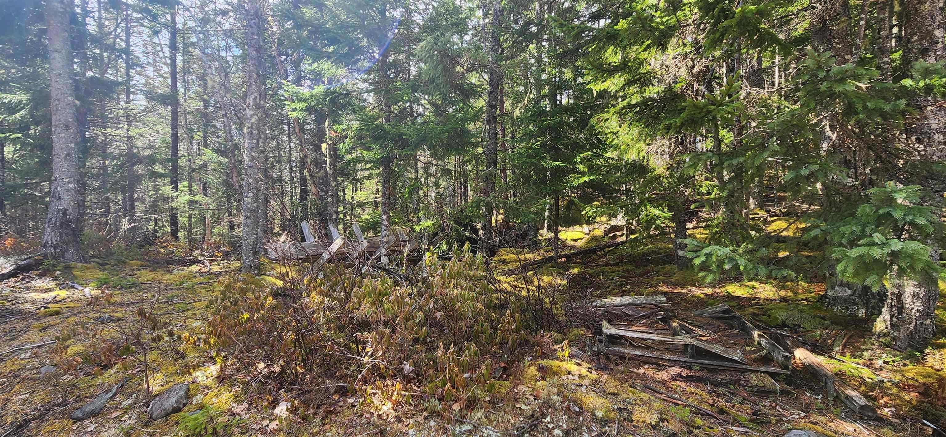 Lot Woods Road, Bayswater, NS (MLS 202606126)