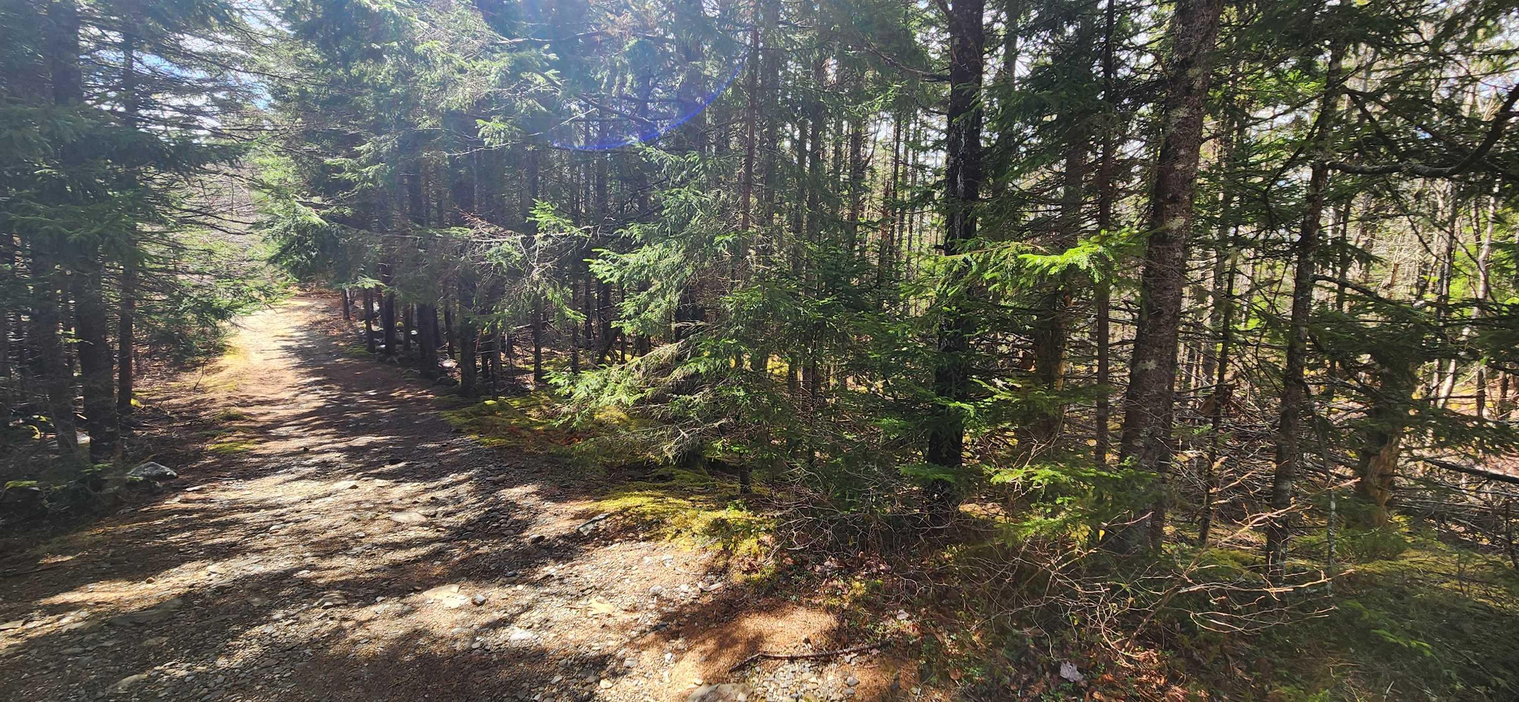 $39,900.00: Lot Woods Road, Bayswater
