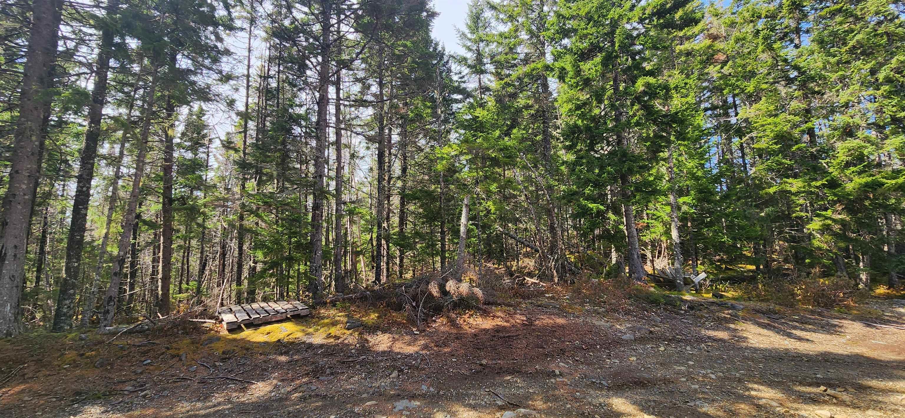 $39,900.00: Lot Woods Road, Bayswater