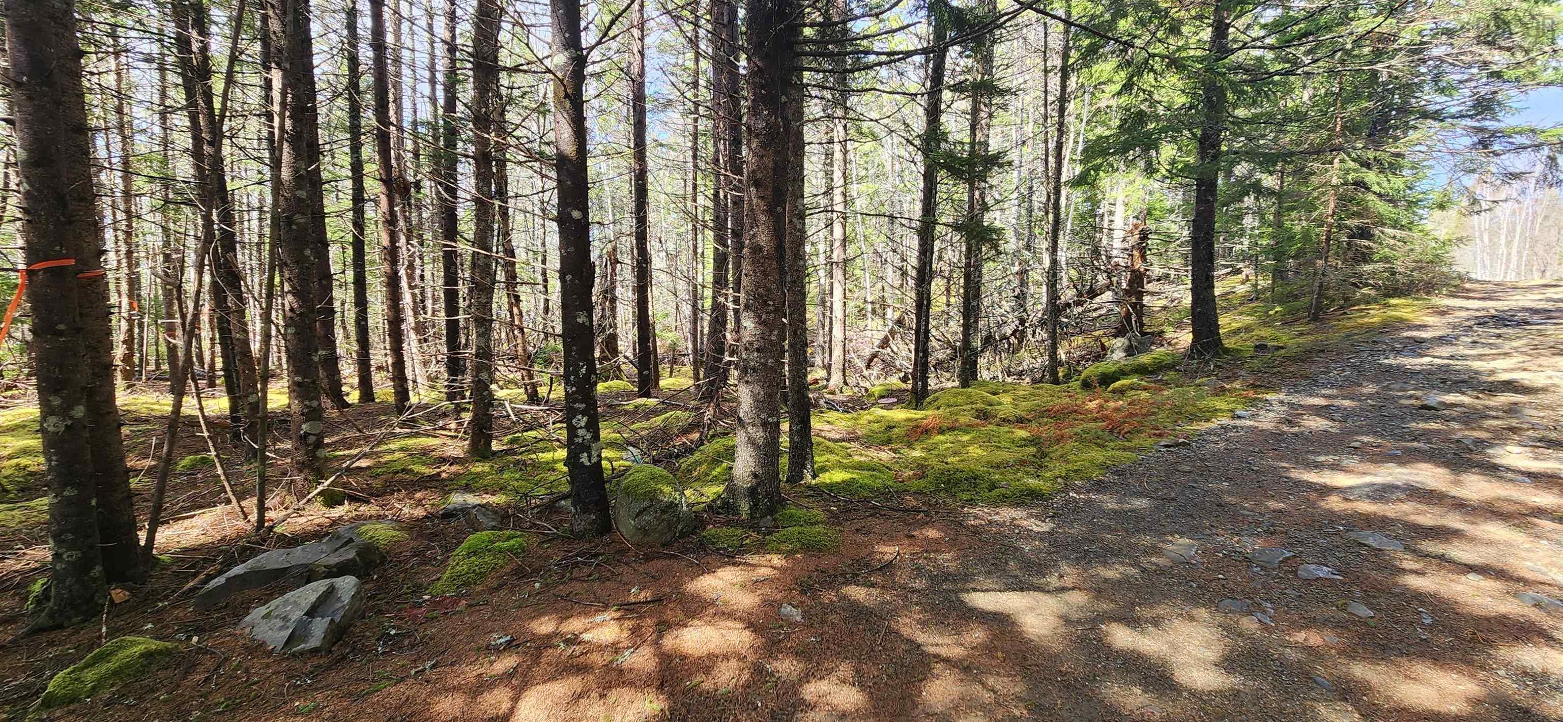 $39,900.00: Lot Woods Road, Bayswater