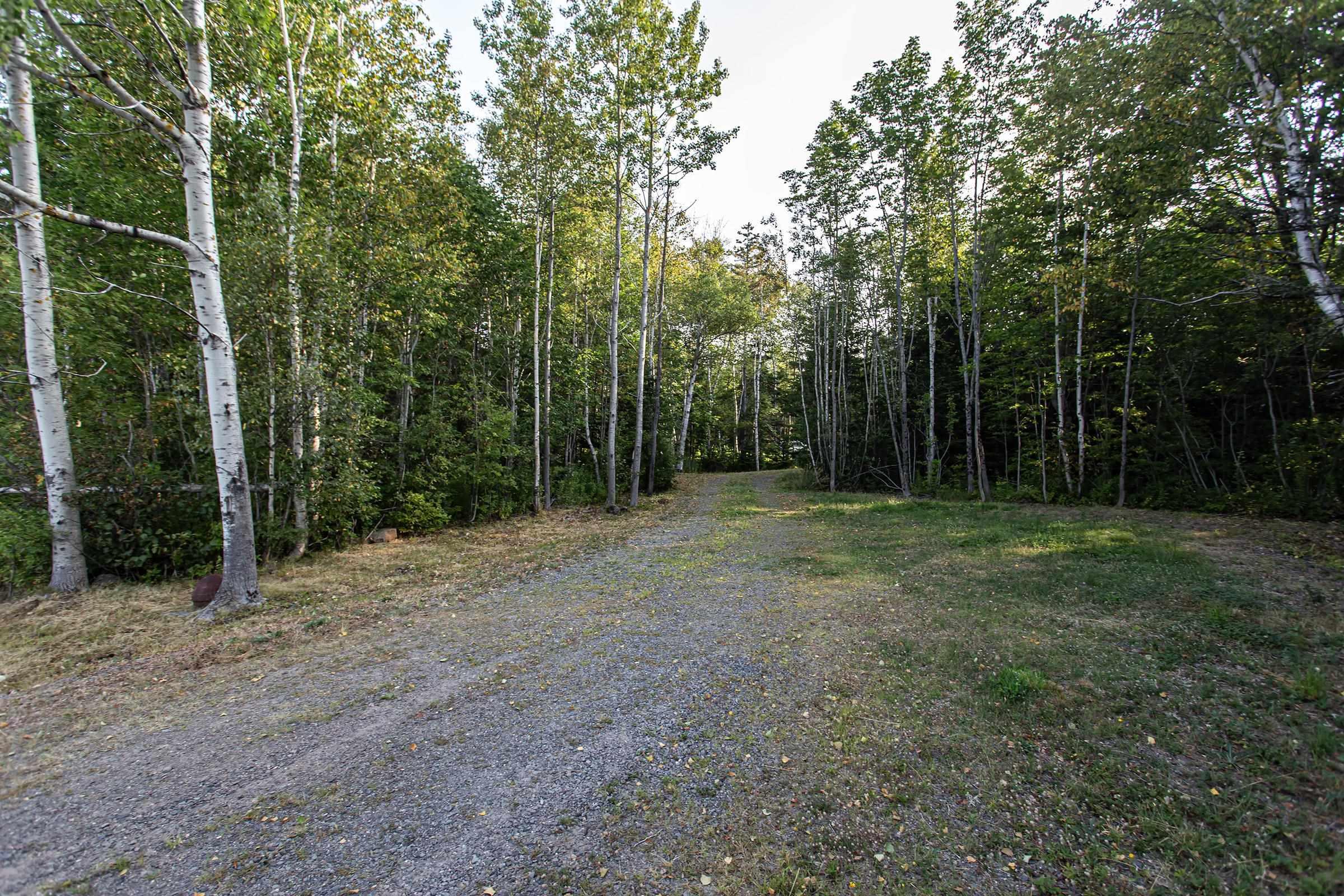 $49,900.00: Lot Ben Phinney Road, Forest Glade