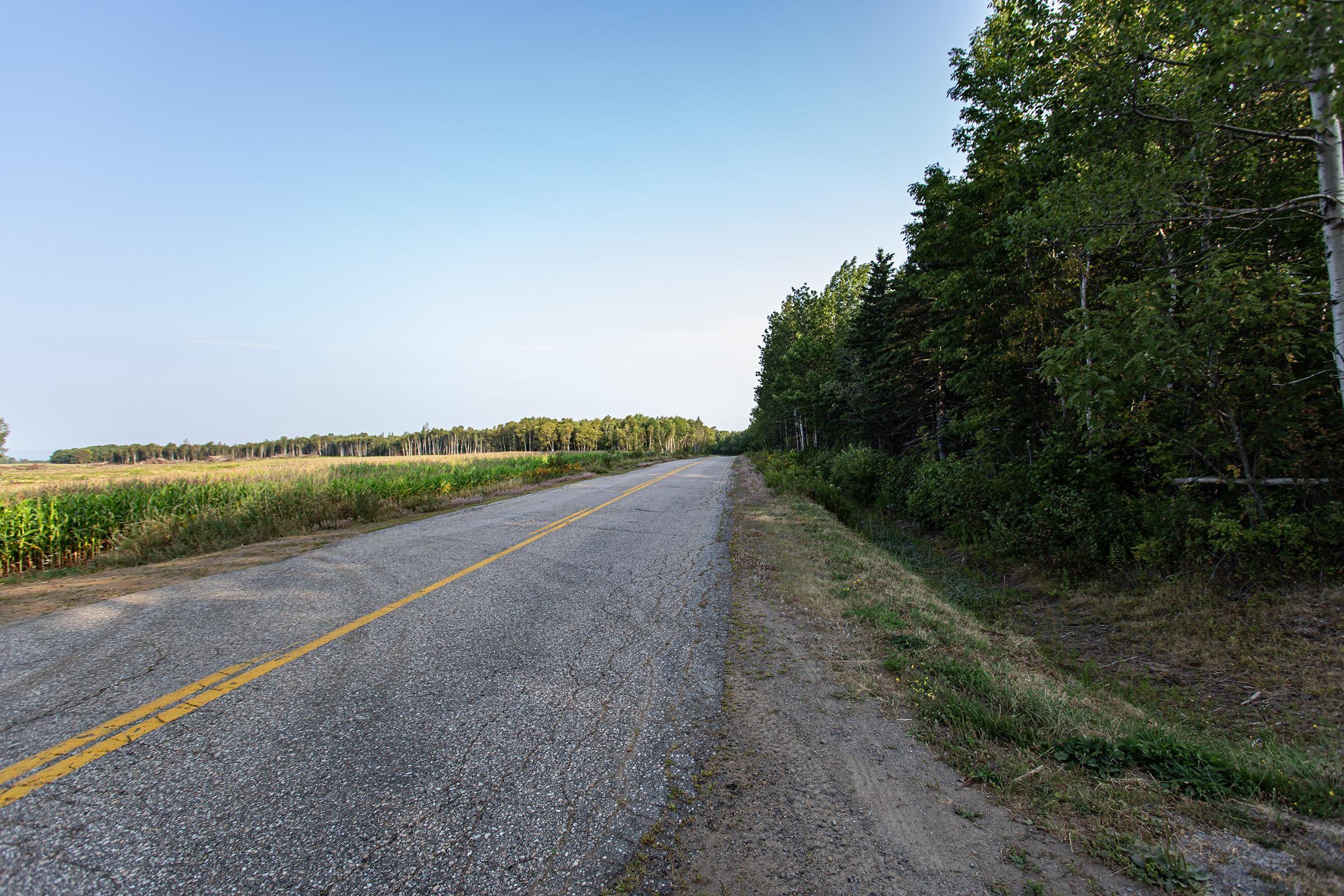 $49,900.00: Lot Ben Phinney Road, Forest Glade