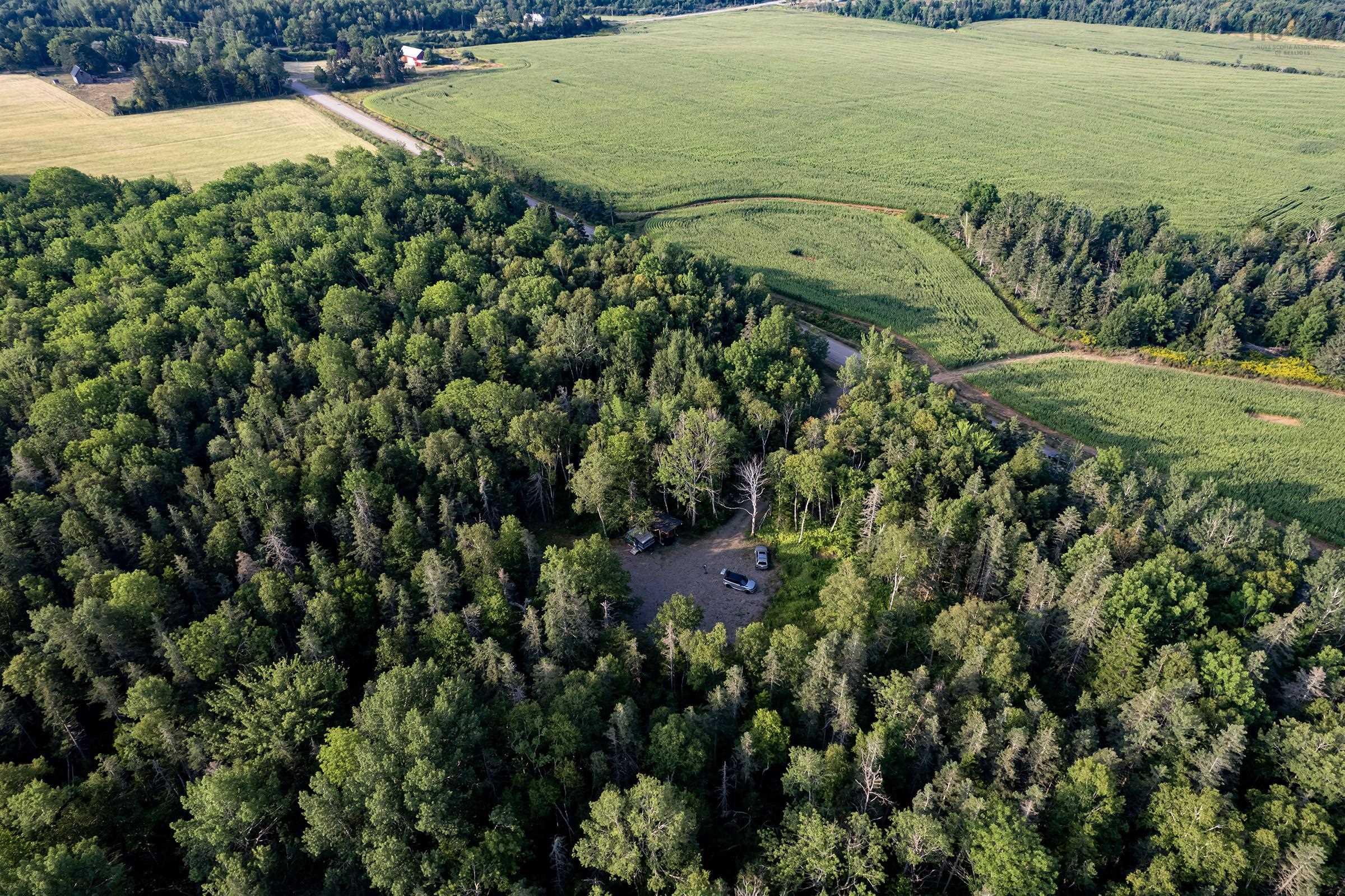 $49,900.00: Lot Ben Phinney Road, Forest Glade