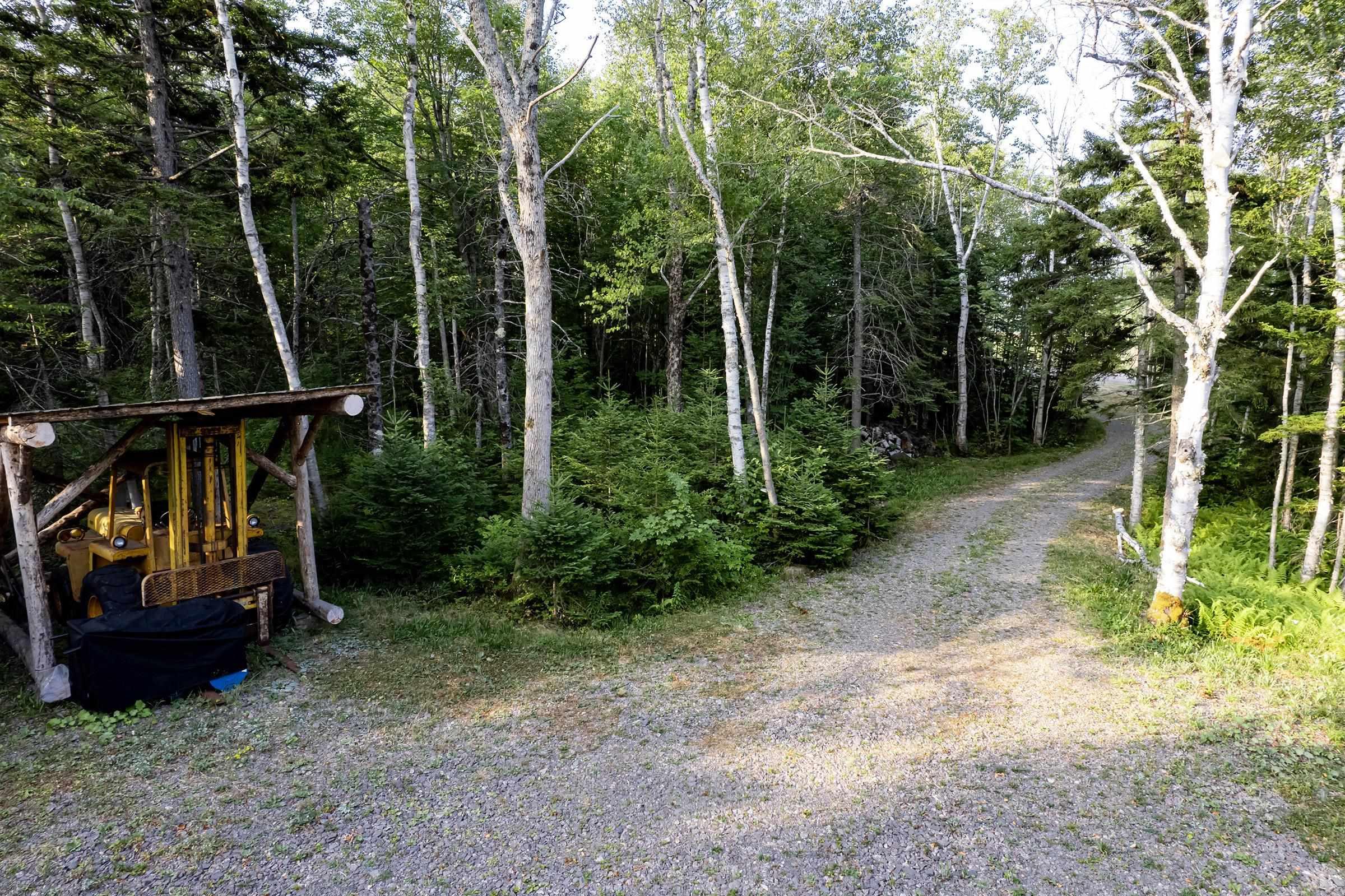 $49,900.00: Lot Ben Phinney Road, Forest Glade