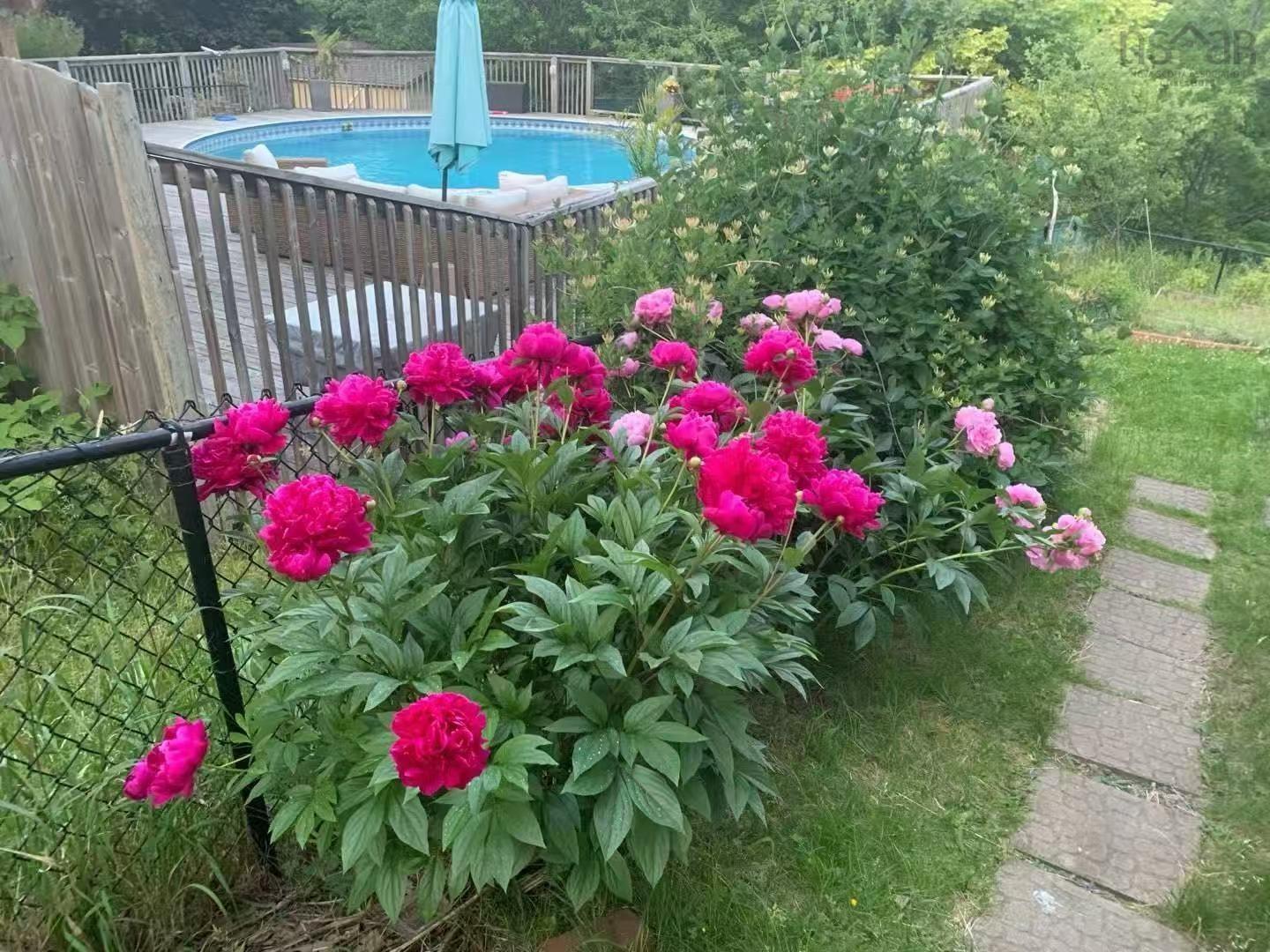 47 Nottingham Street, Bedford, NS (MLS 202606209)