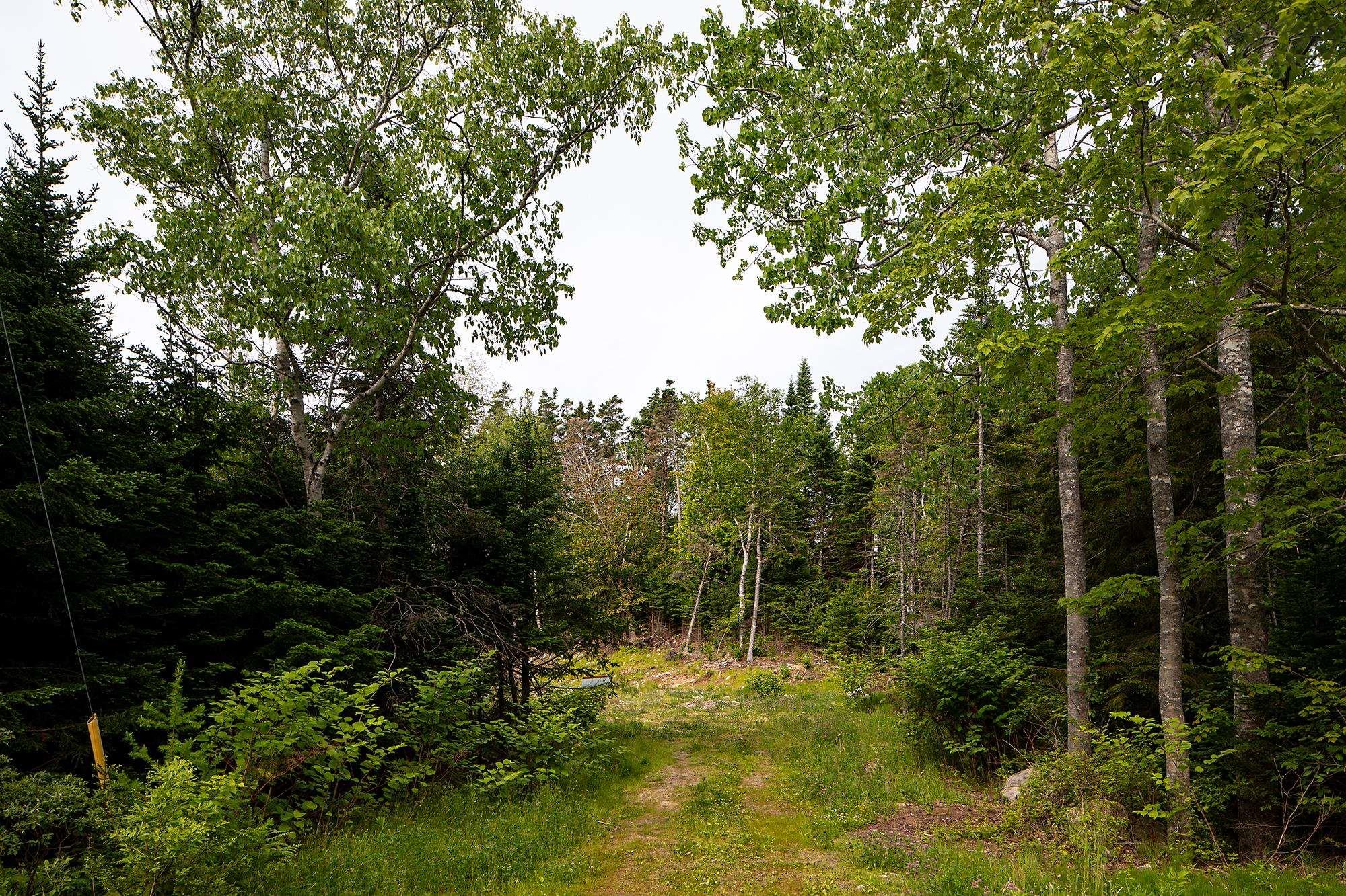 10 Spruce Lane, Boutiliers Point, NS (MLS 202606214)