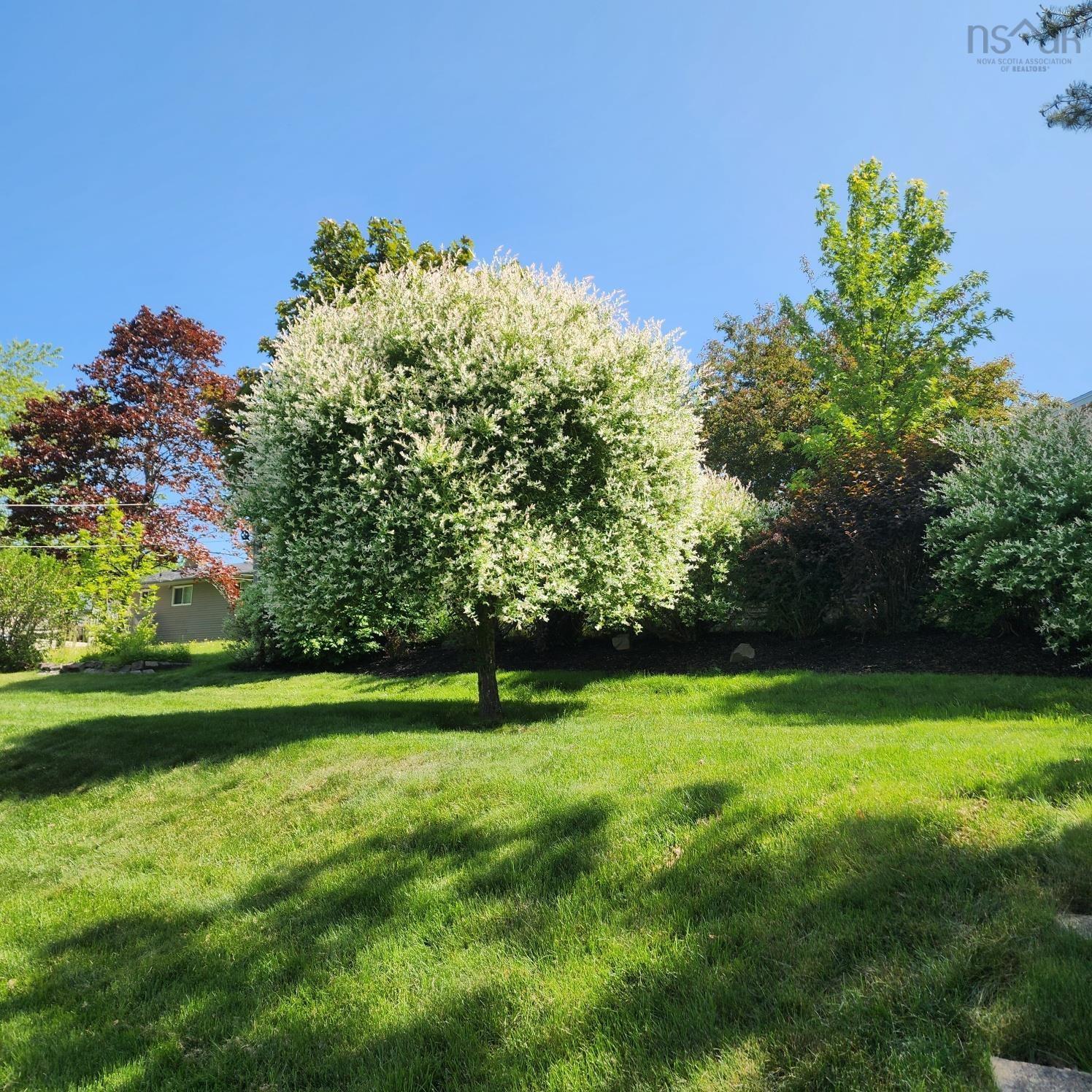 55 Oakmount Drive, Bedford, NS (MLS 202606255)