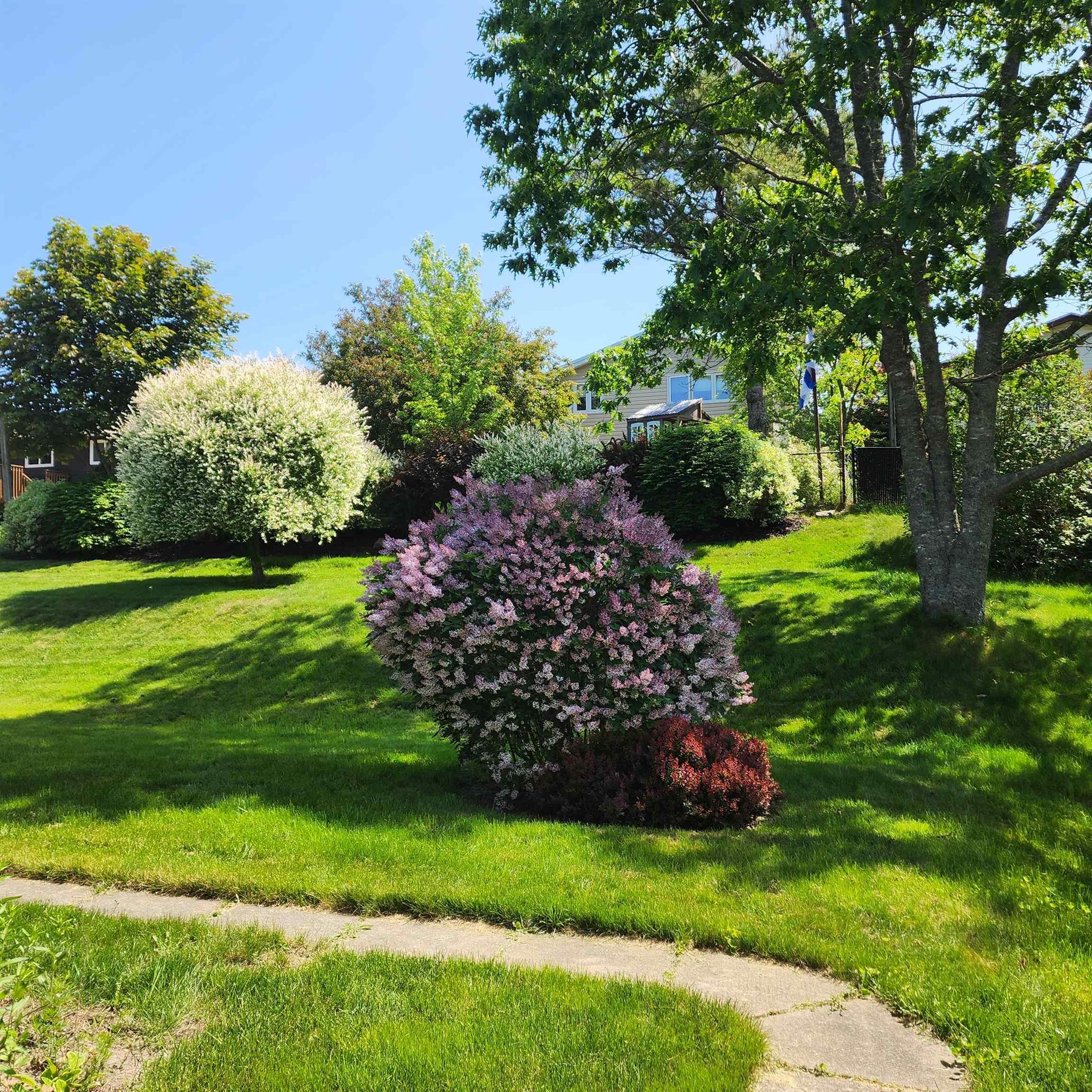 55 Oakmount Drive, Bedford, NS (MLS 202606255)