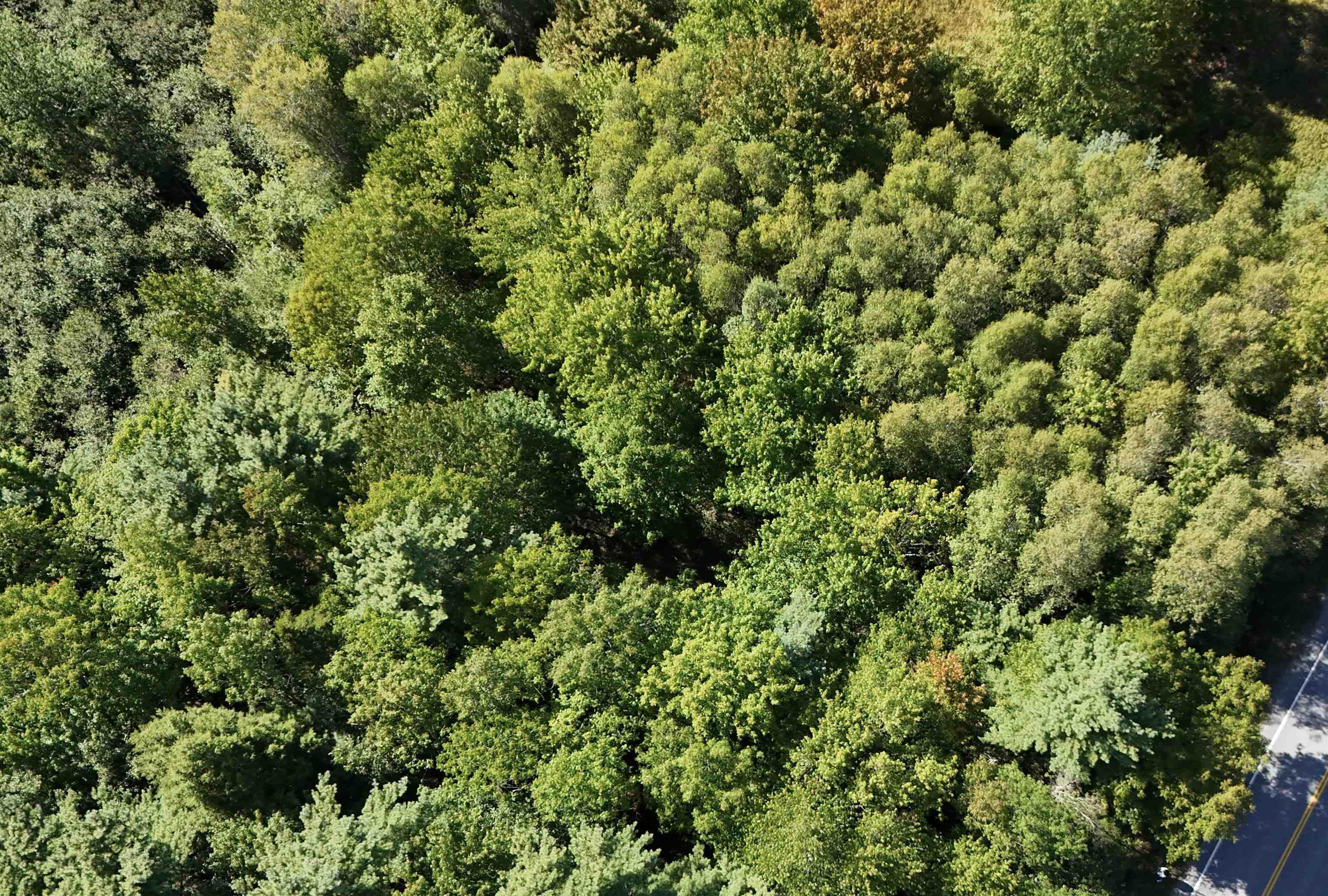 $38,500.00: Lot Highway 10, Cookville