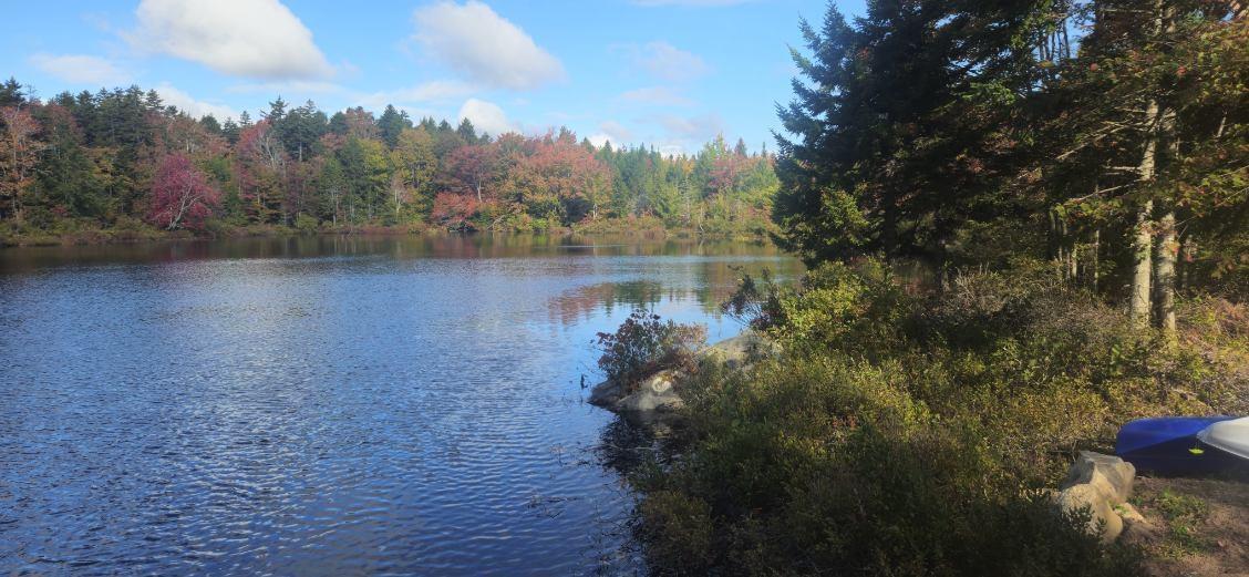 $249,900.00: 223 New Ross Road, Leminster