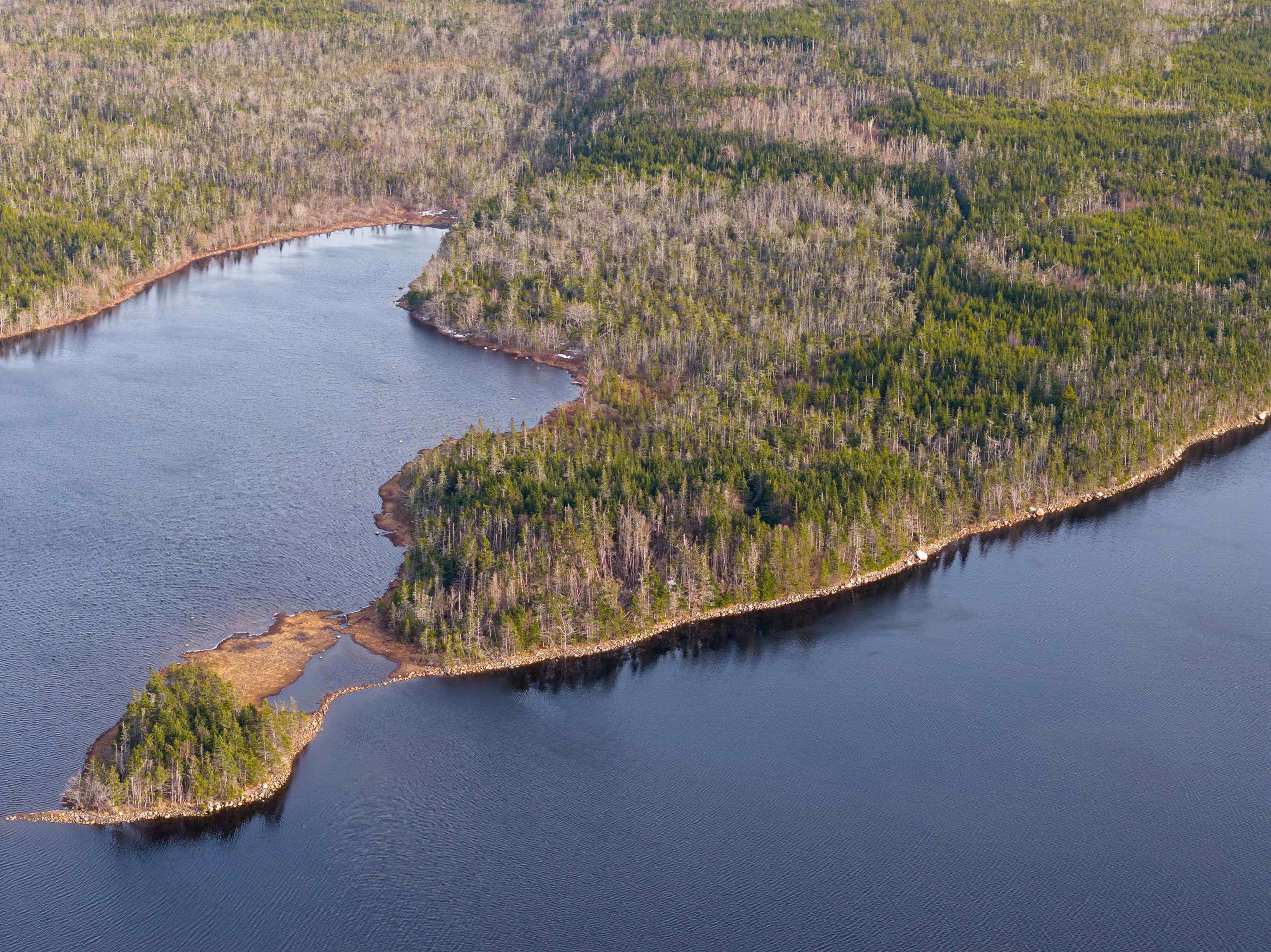 Long Pt Seaforth, Ns, Seaforth, NS (MLS 202606300)