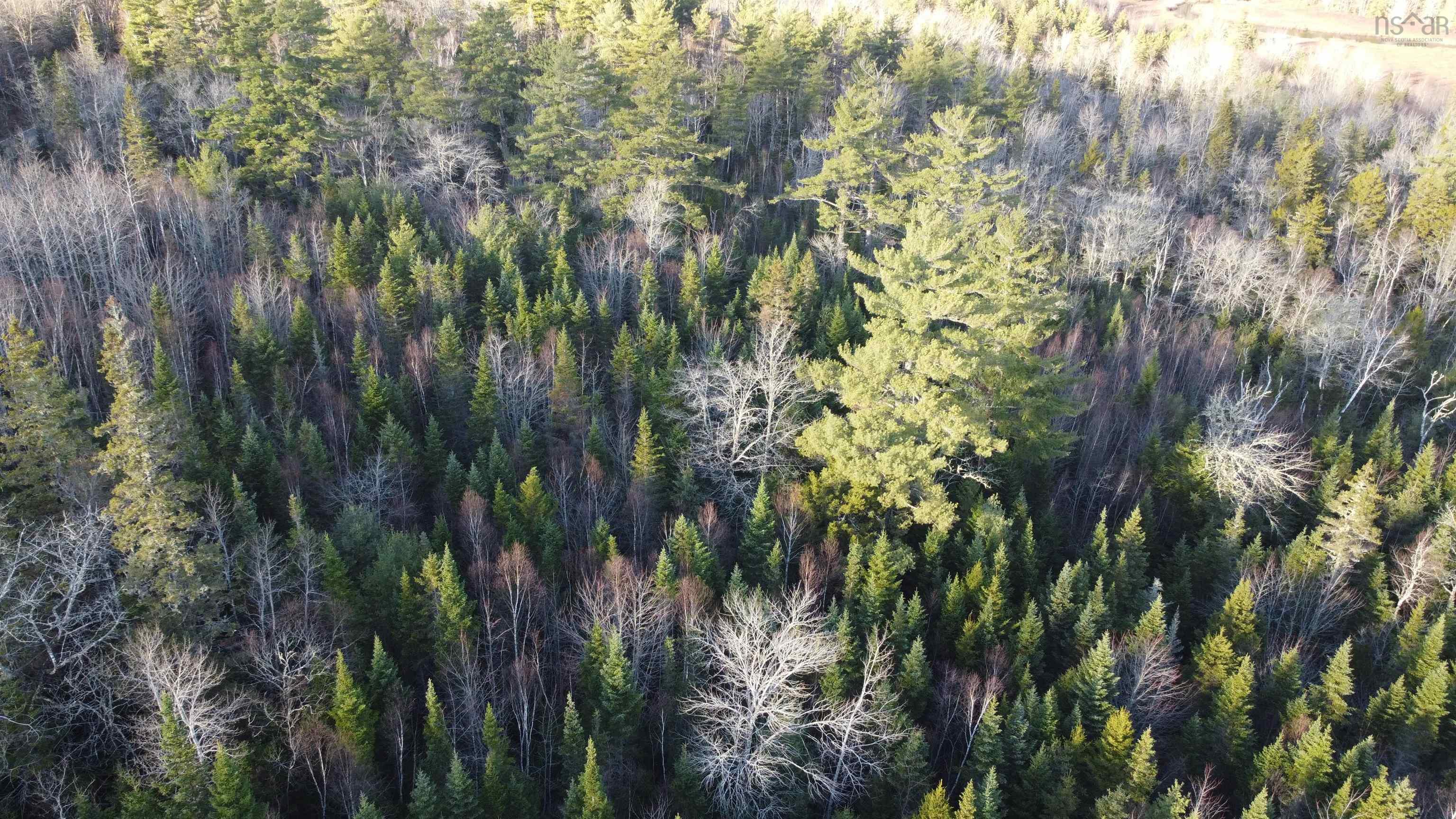 $29,900.00: LOT 3 Highway 10, Albany