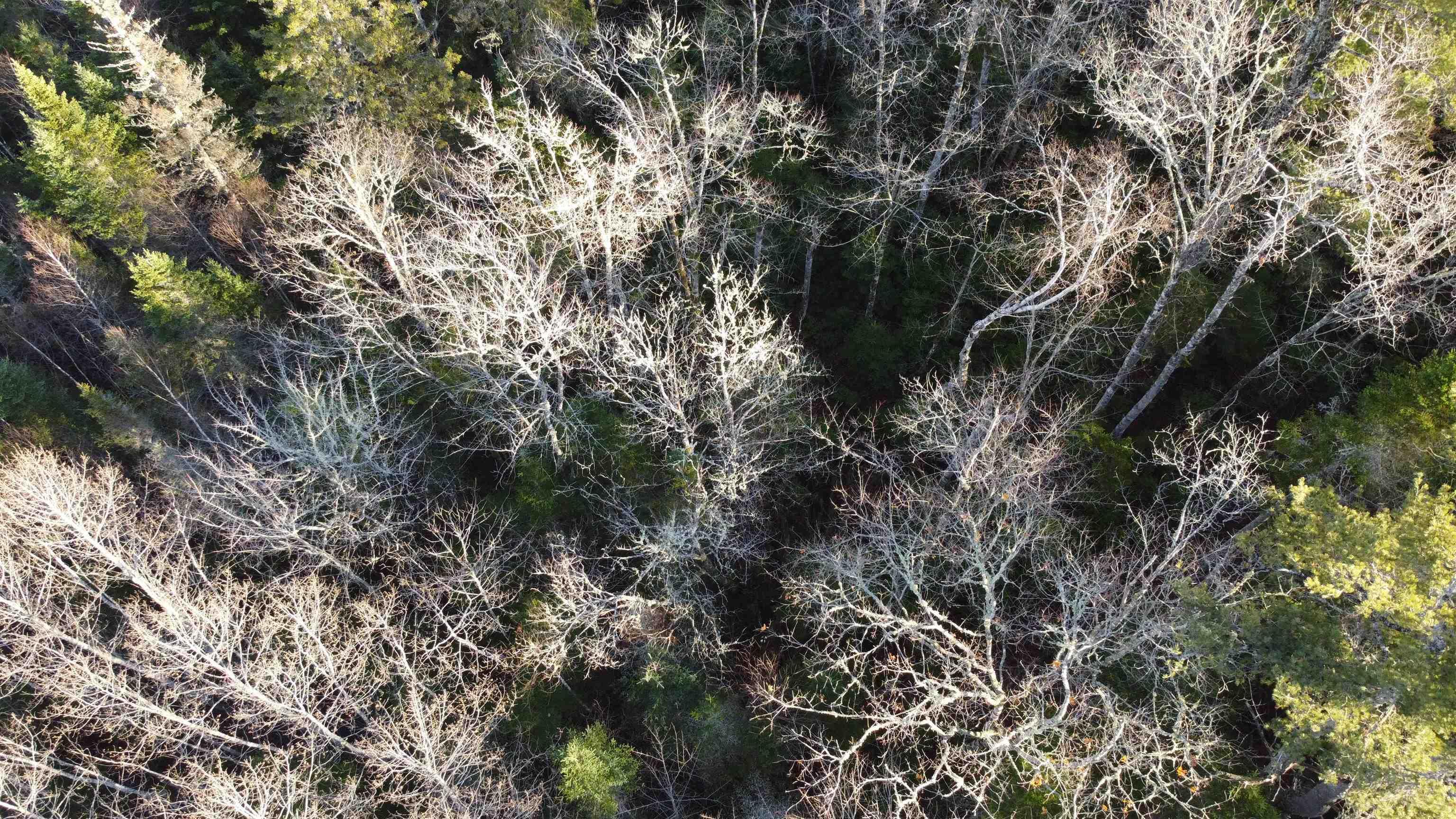 $29,900.00: LOT 3 Highway 10, Albany