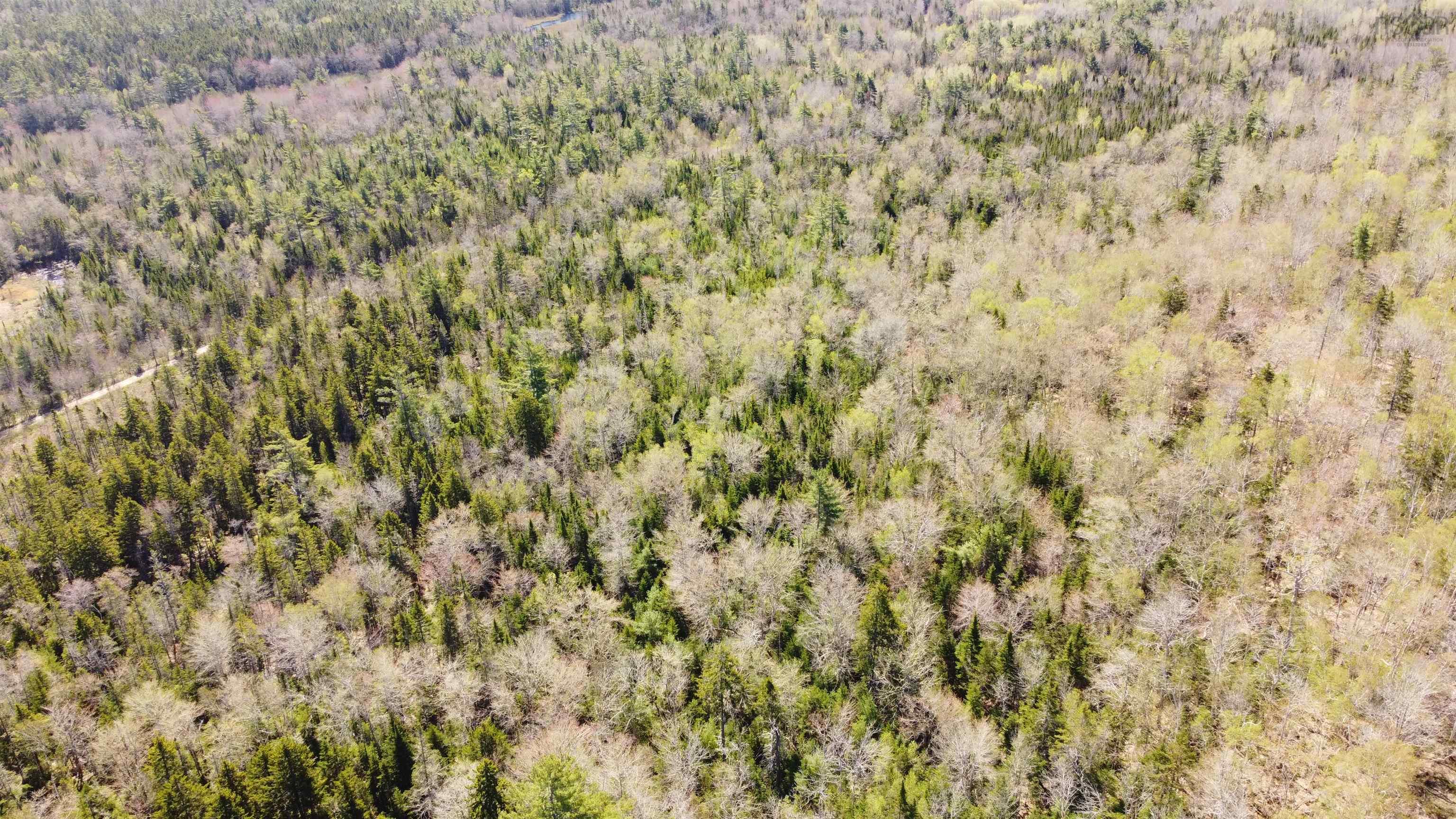 $29,900.00: LOT 3 Highway 10, Albany