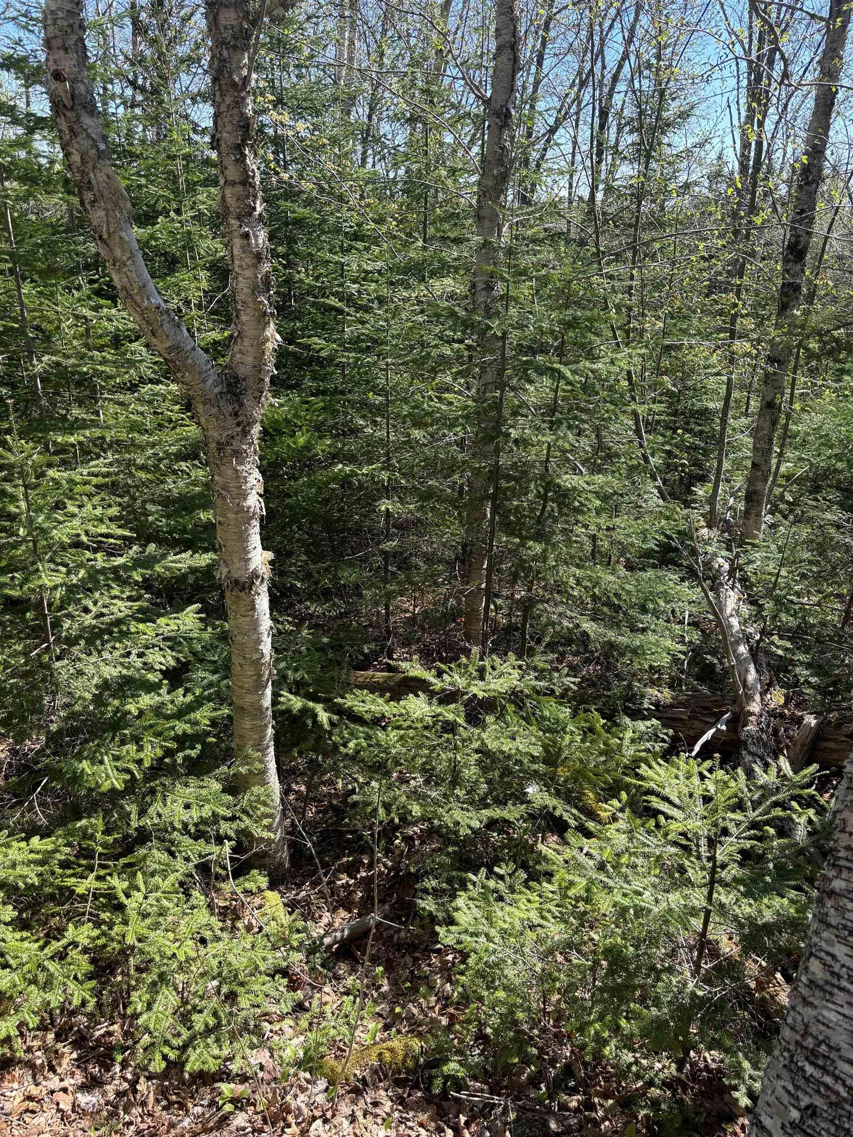 $29,900.00: LOT 3 Highway 10, Albany