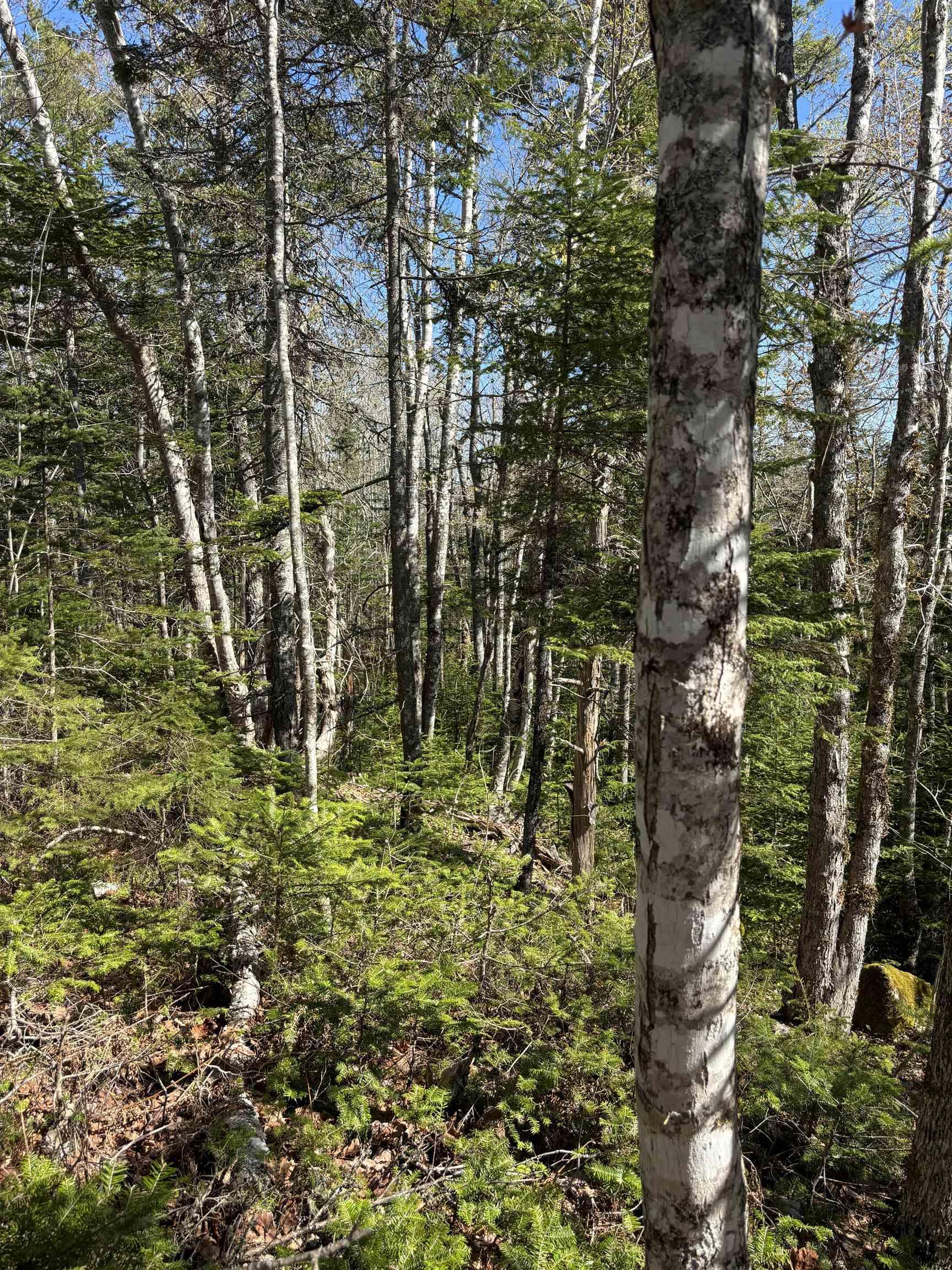 $29,900.00: LOT 3 Highway 10, Albany