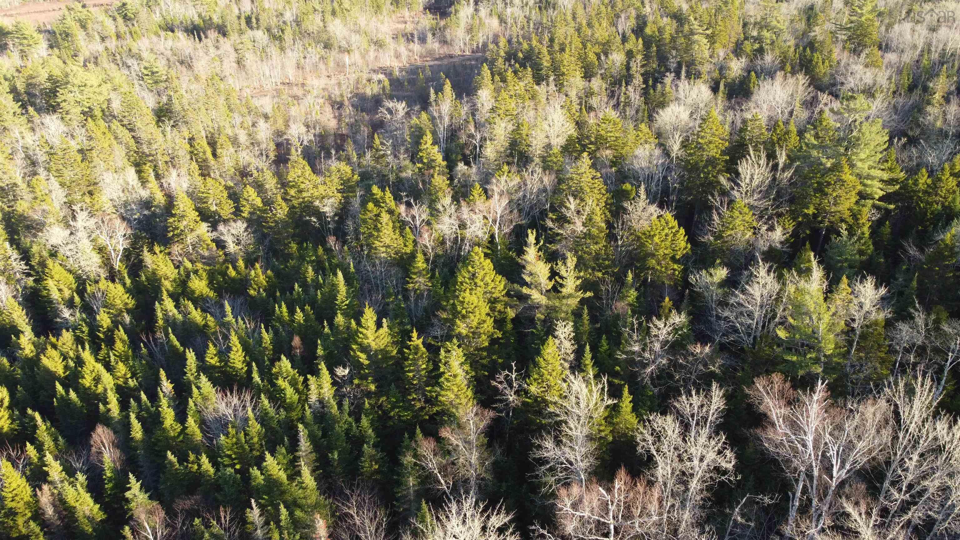 $29,900.00: LOT 3 Highway 10, Albany