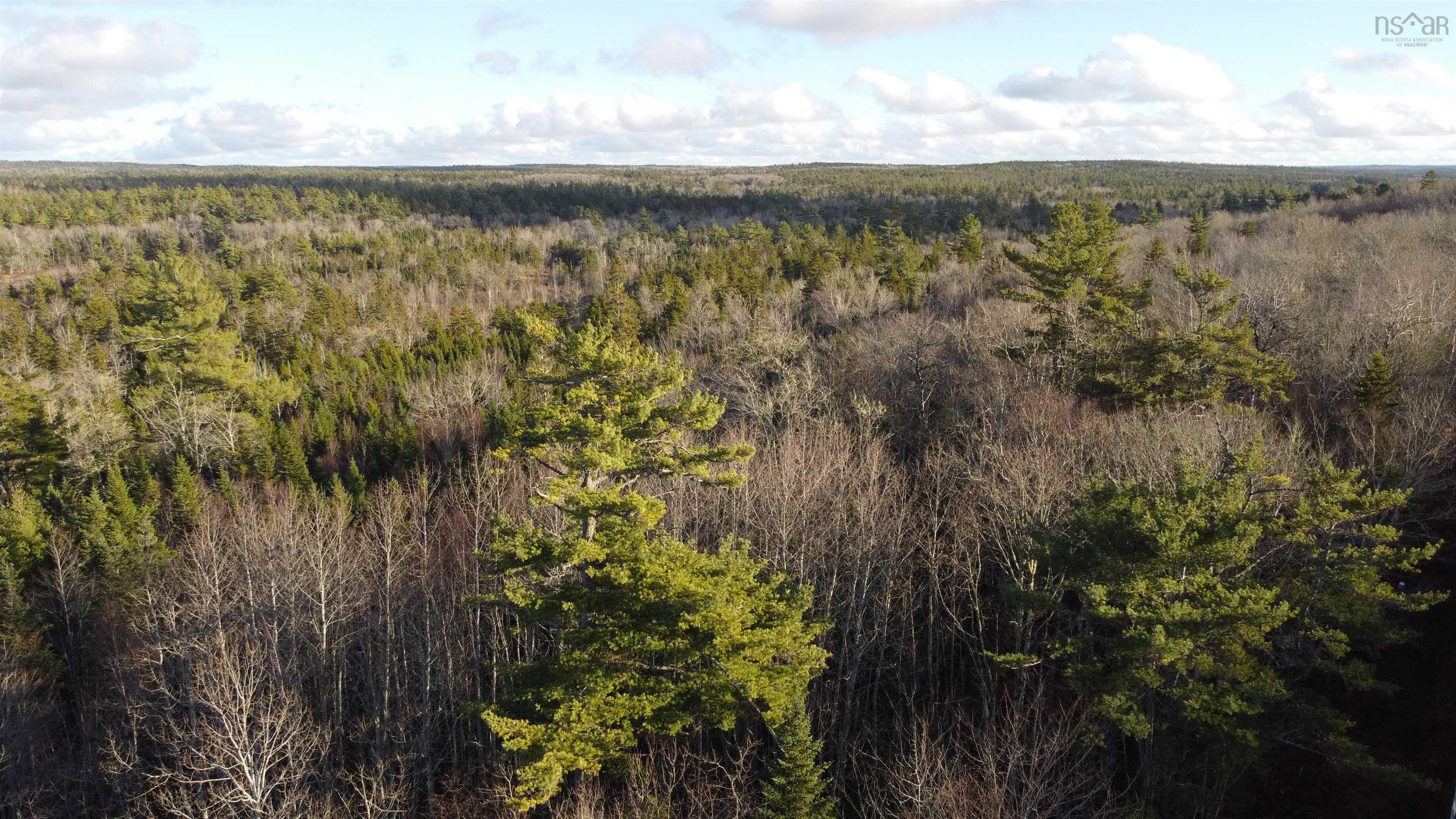 $29,900.00: LOT 3 Highway 10, Albany