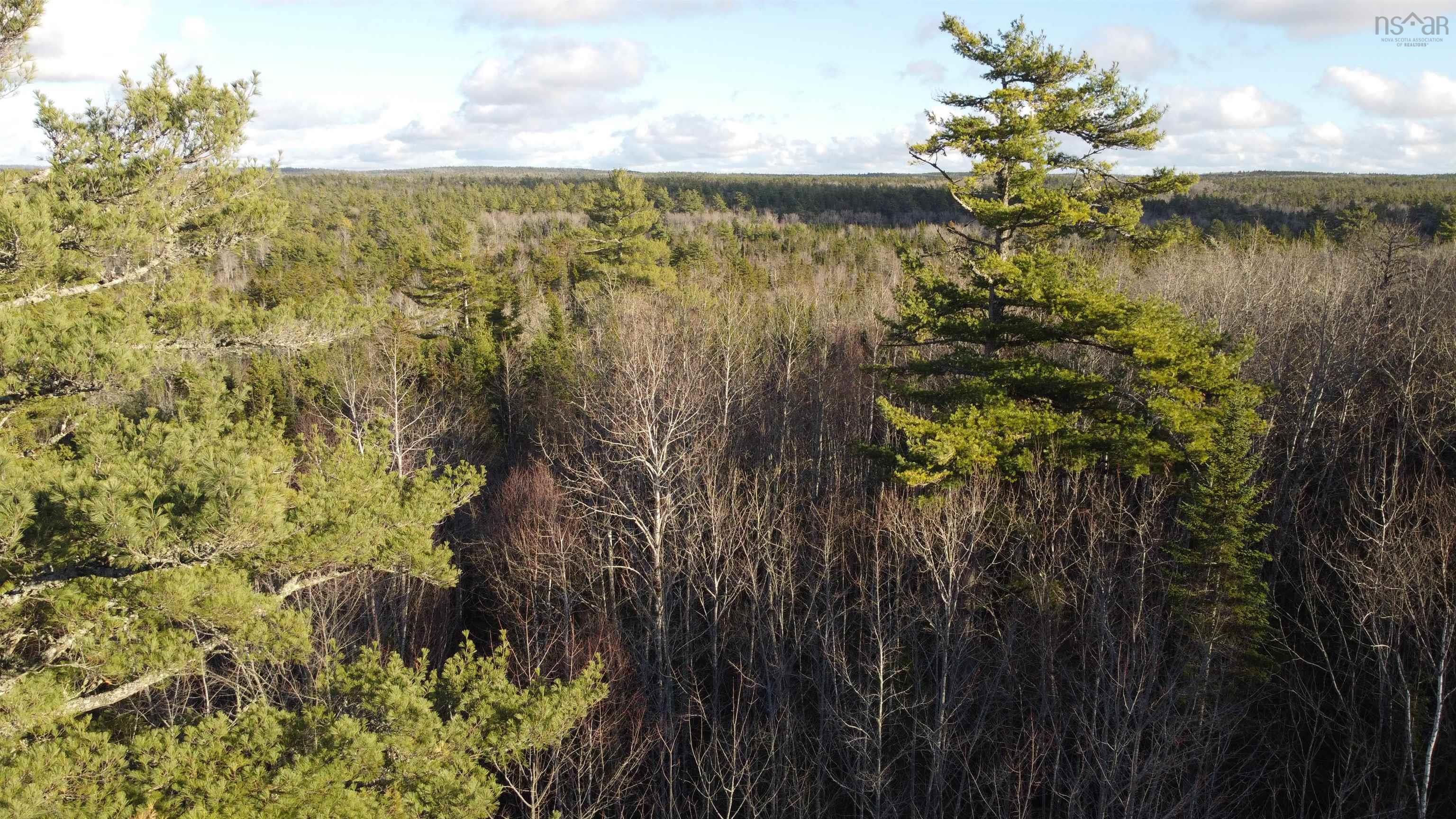 $29,900.00: LOT 3 Highway 10, Albany