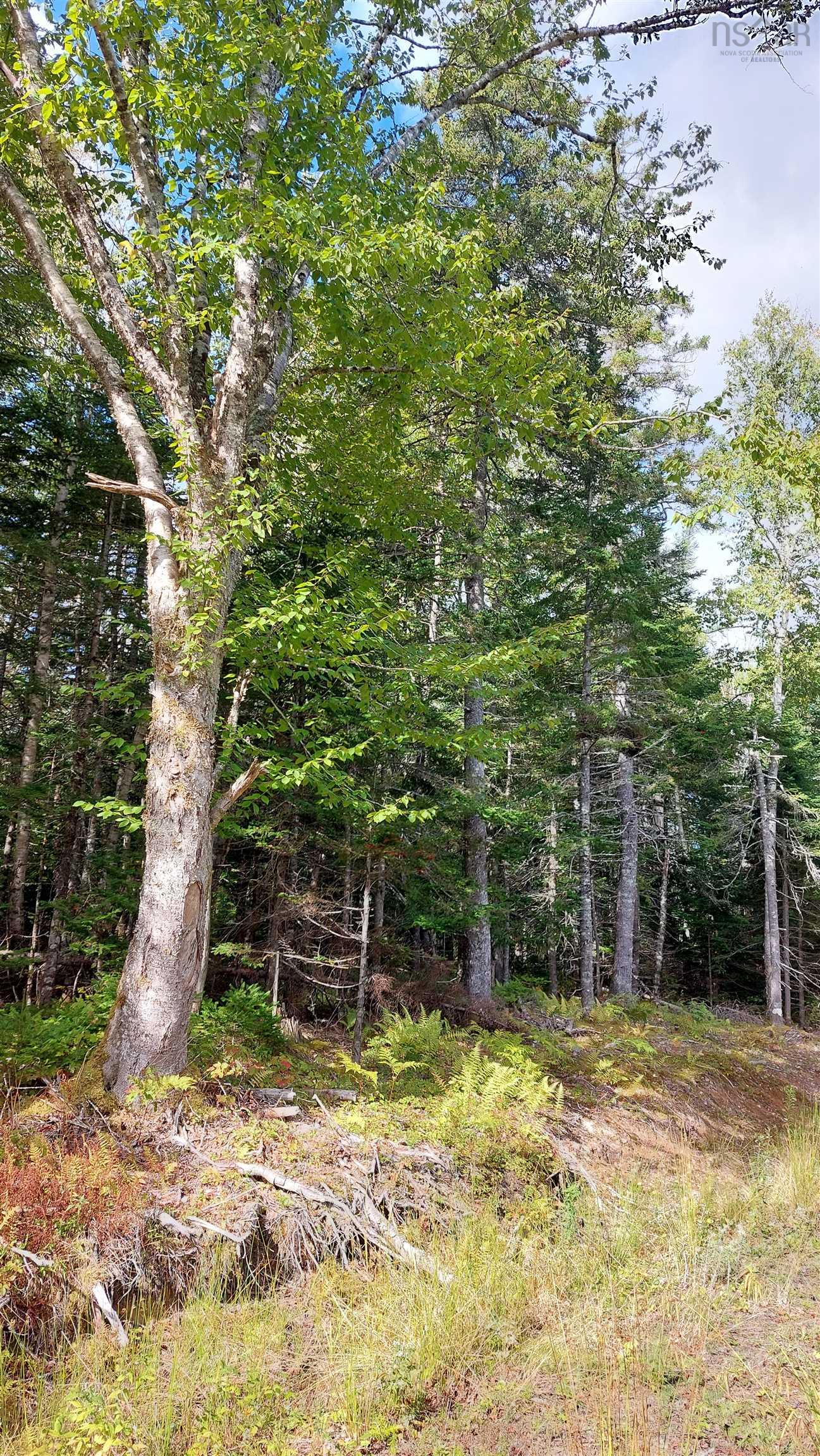 $37,500.00: Lot 14 Golden Shore Dr, Marshes (West Bay)