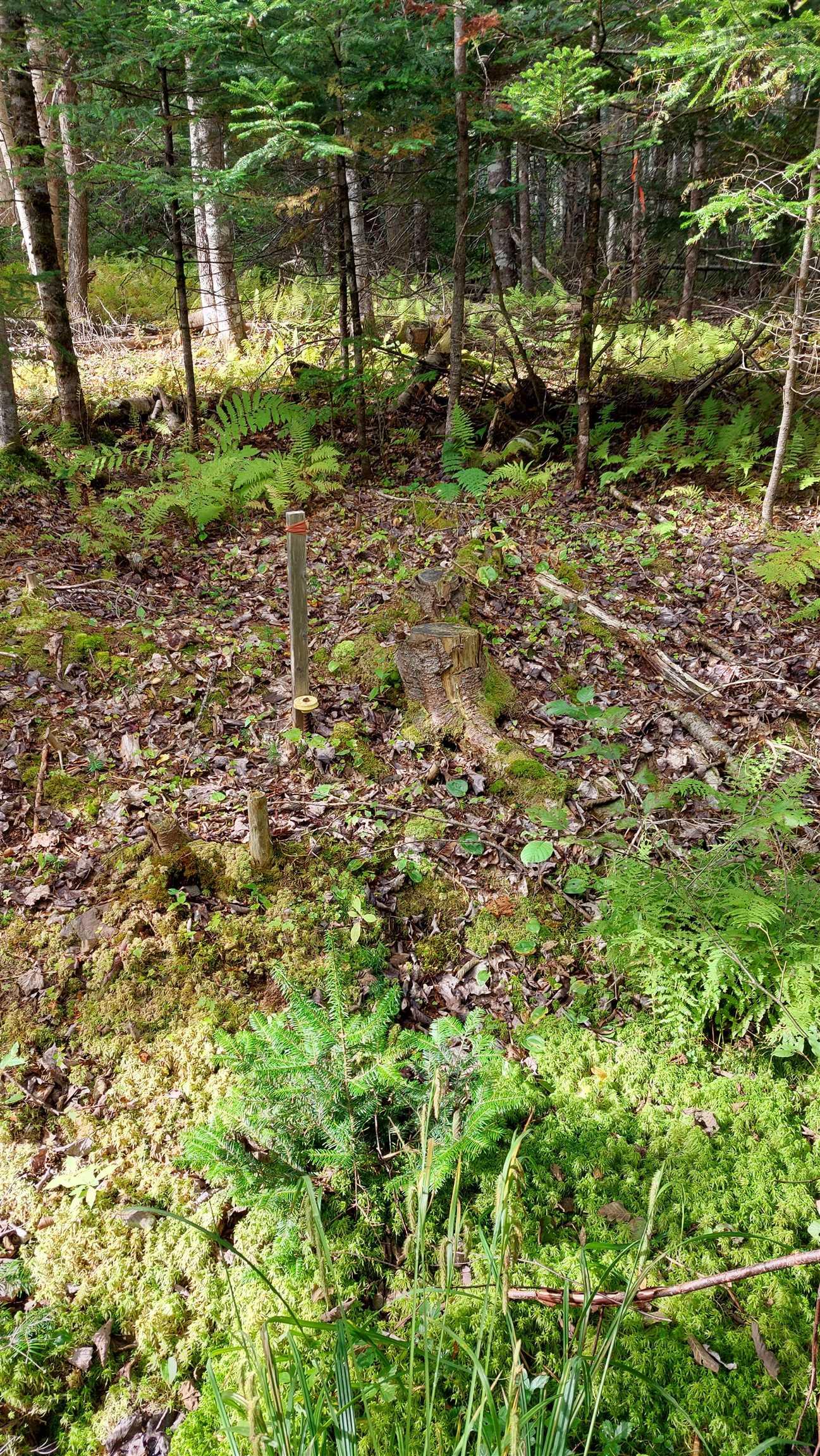 $37,500.00: Lot 14 Golden Shore Dr, Marshes (West Bay)