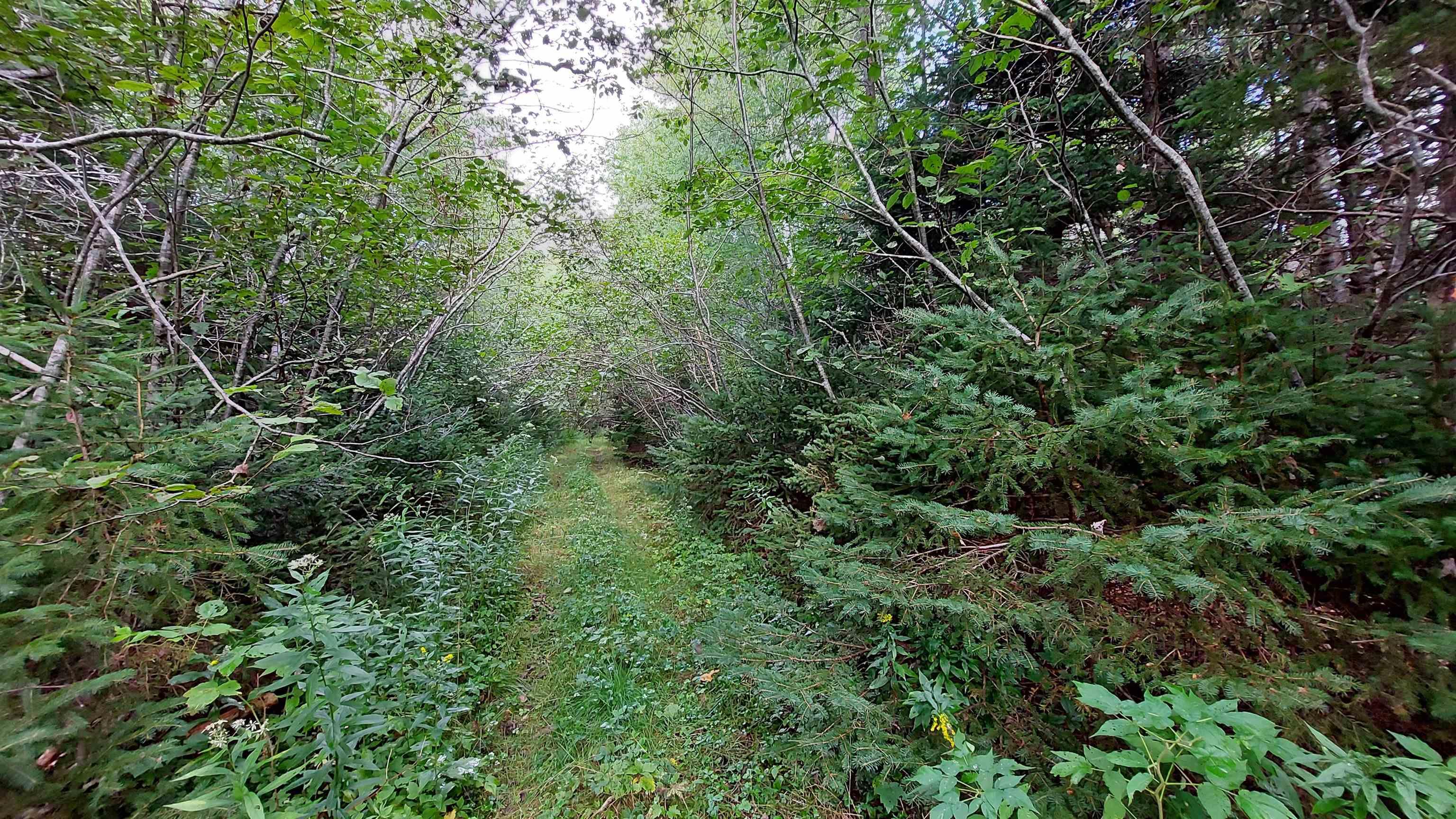 $37,500.00: Lot 14 Golden Shore Dr, Marshes (West Bay)