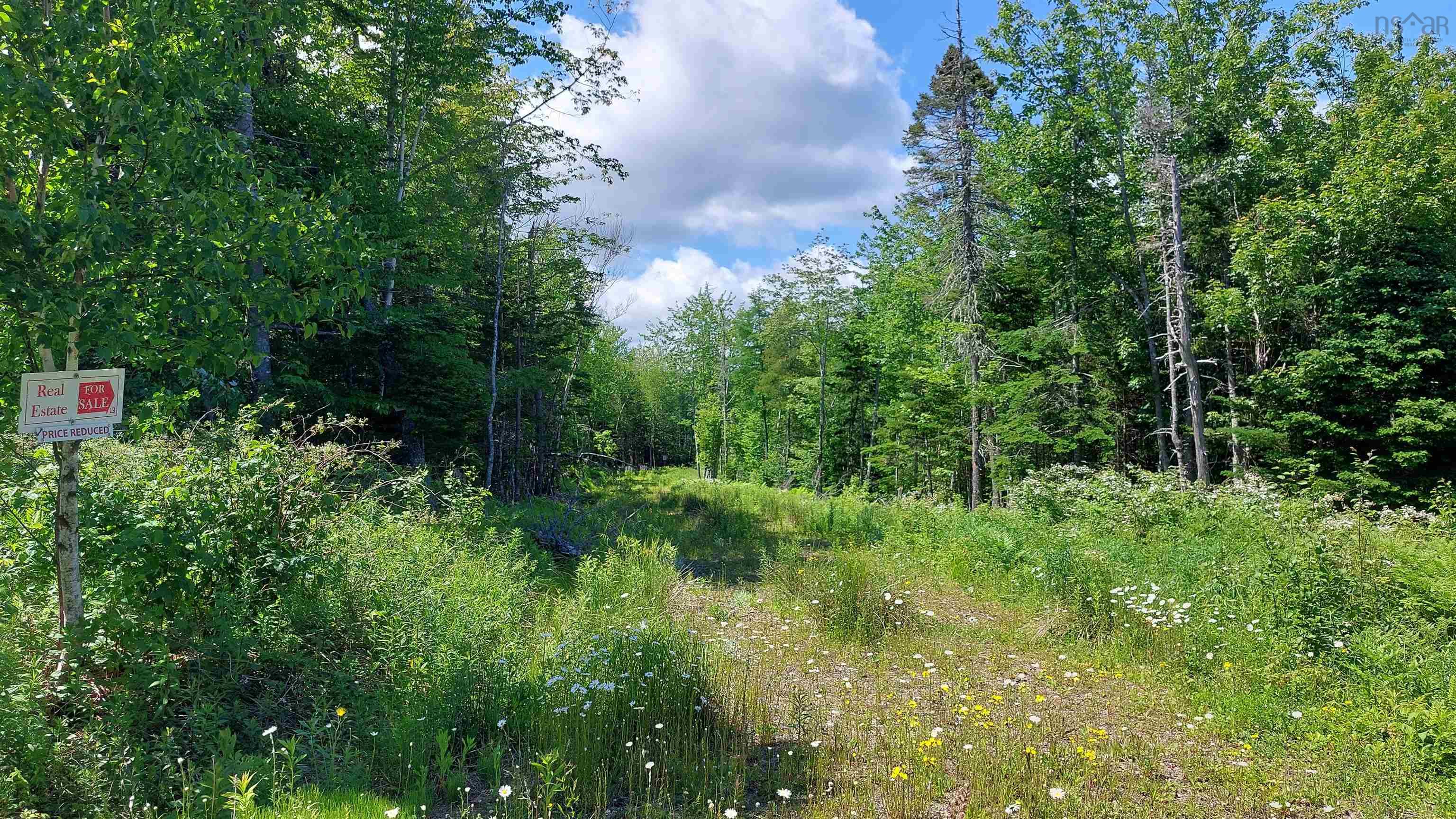 $37,500.00: Lot 14 Golden Shore Dr, Marshes (West Bay)