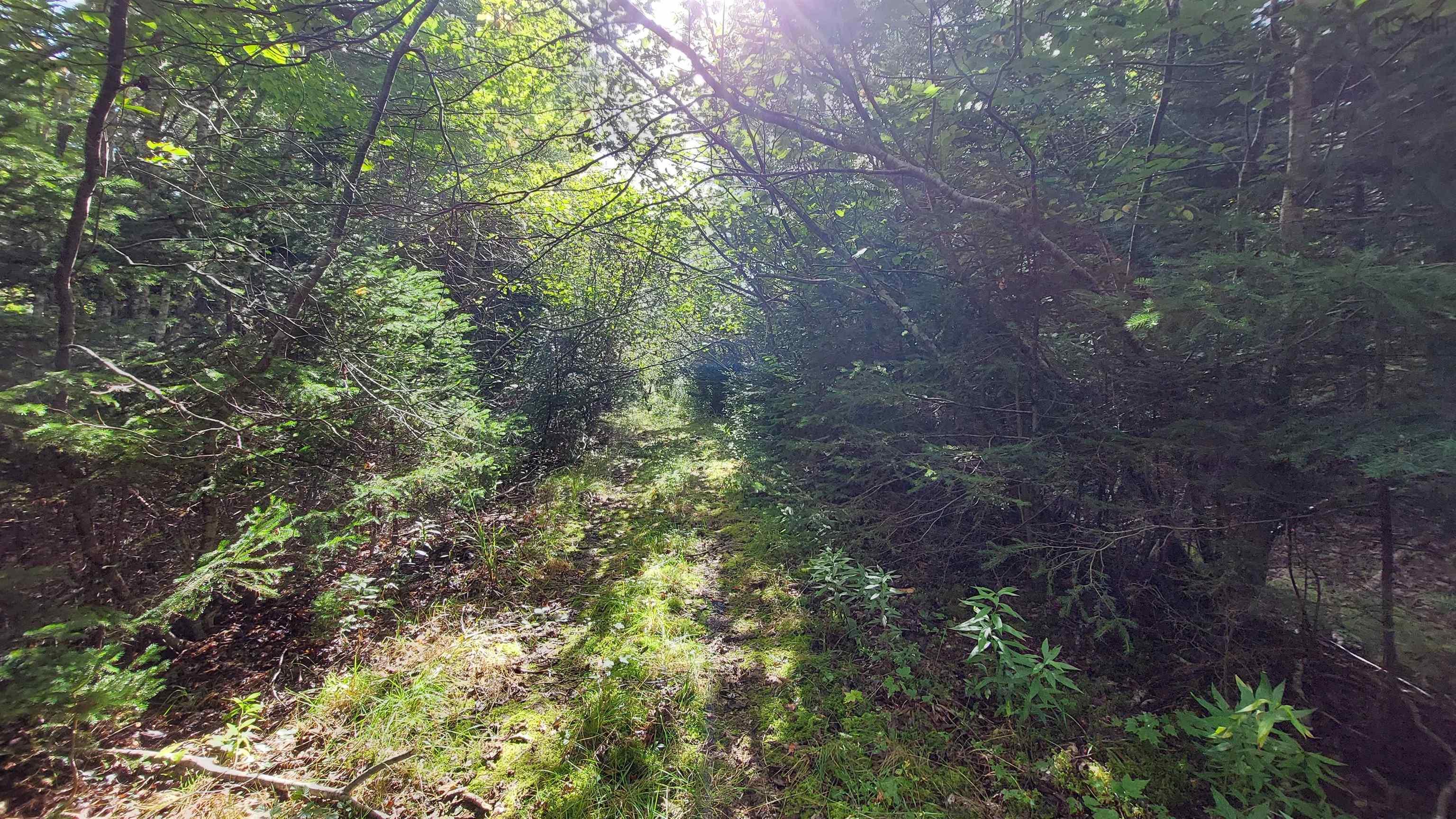 $37,500.00: Lot 14 Golden Shore Dr, Marshes (West Bay)