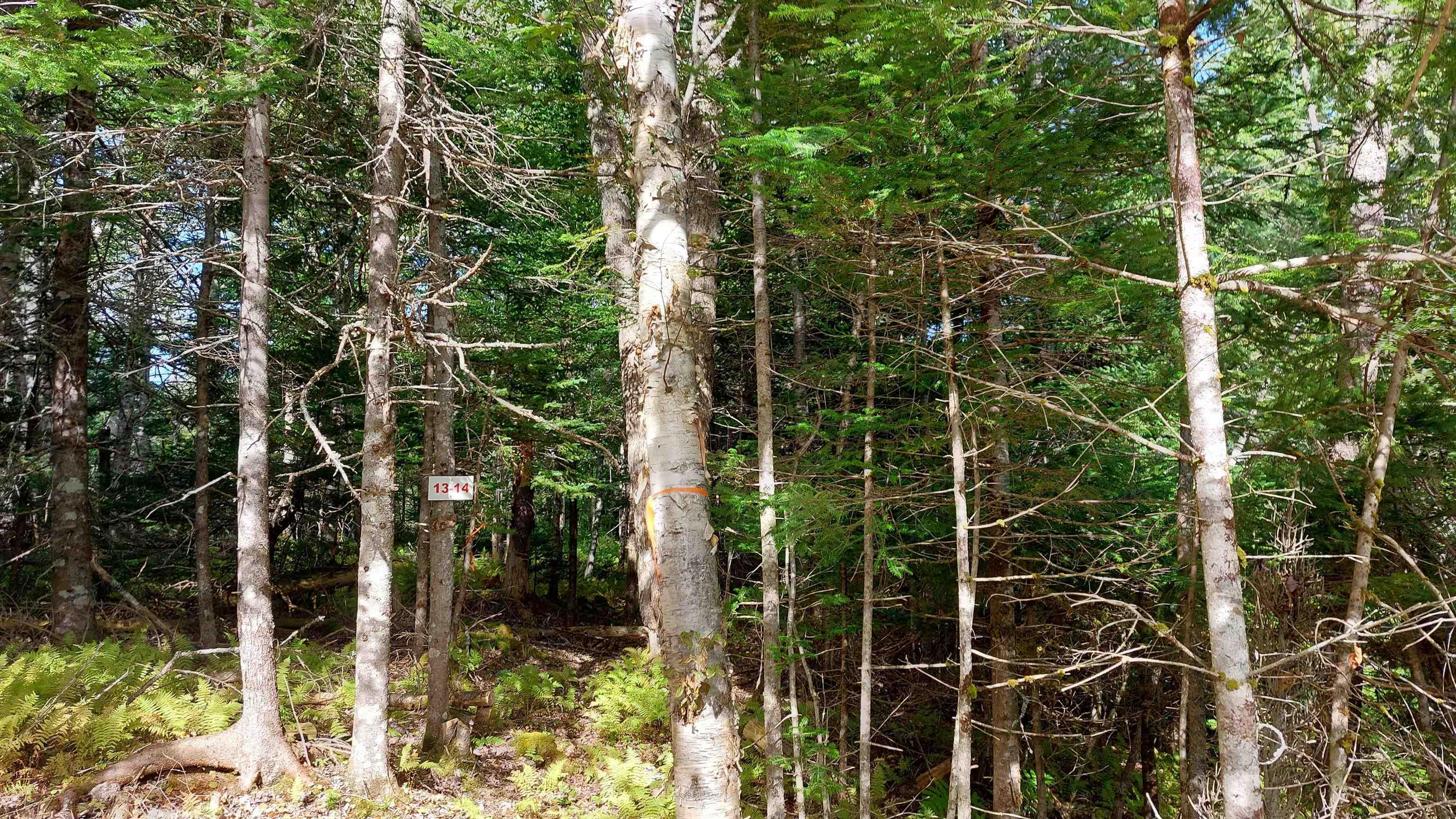 $37,500.00: Lot 14 Golden Shore Dr, Marshes (West Bay)