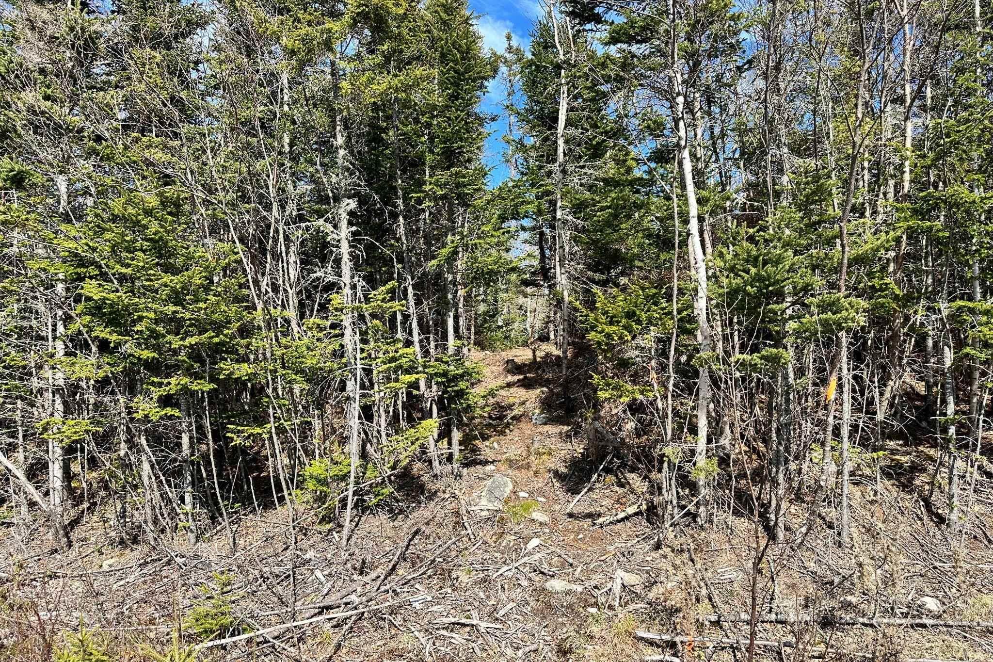 41 Blind Bay Drive, Blind Bay, NS (MLS 202606319)